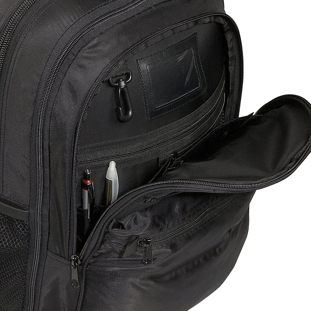 A.SAKS EXPANDABLE Deluxe Laptop Computer Backpacks