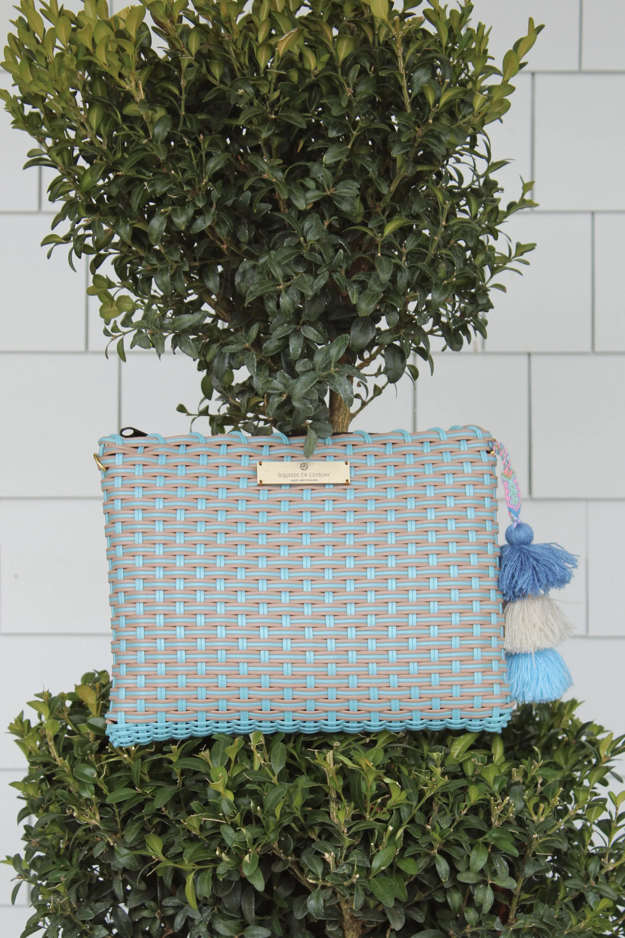 Blue Robin Nest Lemon Drop Citron - Large