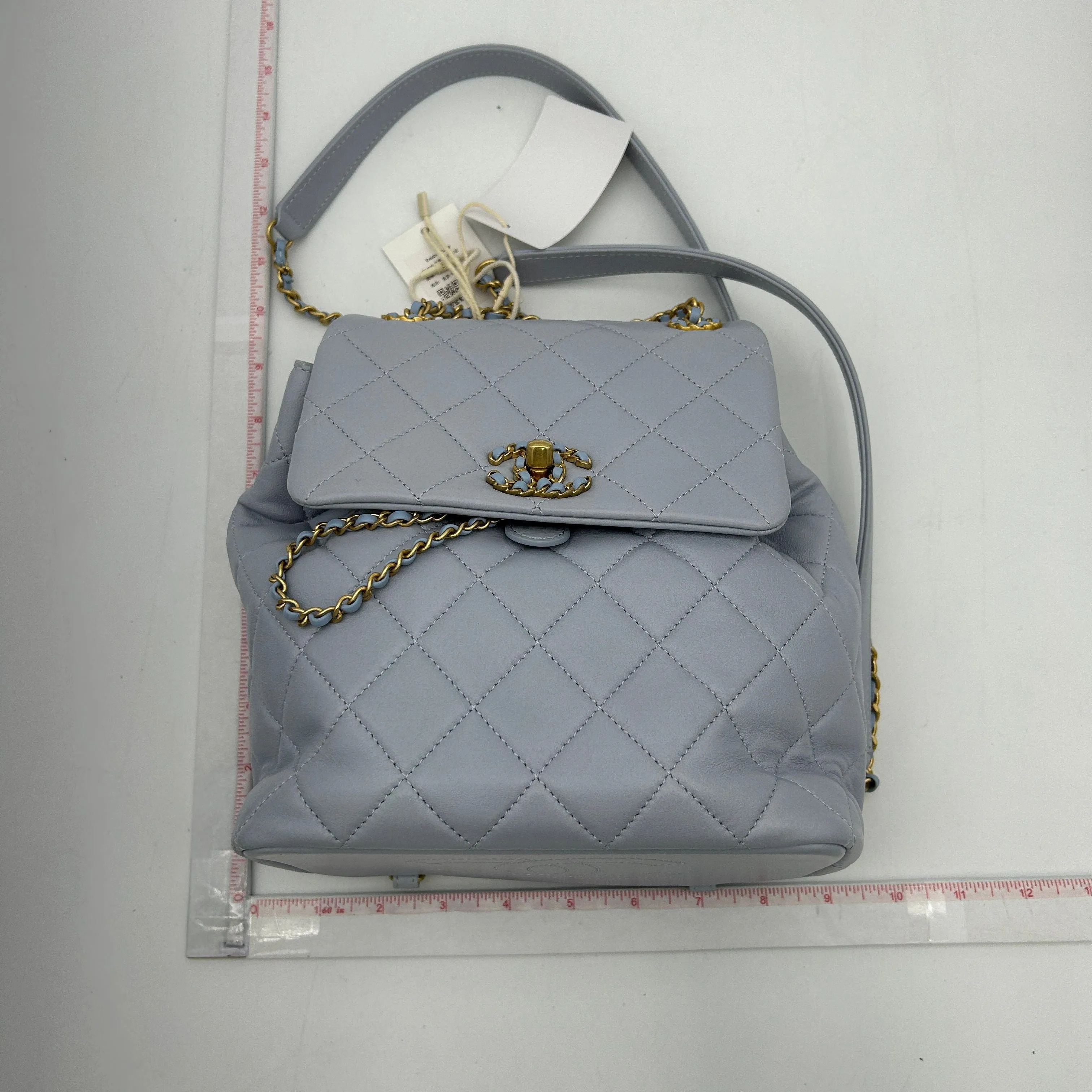Chanel Duma Leather Grey Backpack CNbwz7436