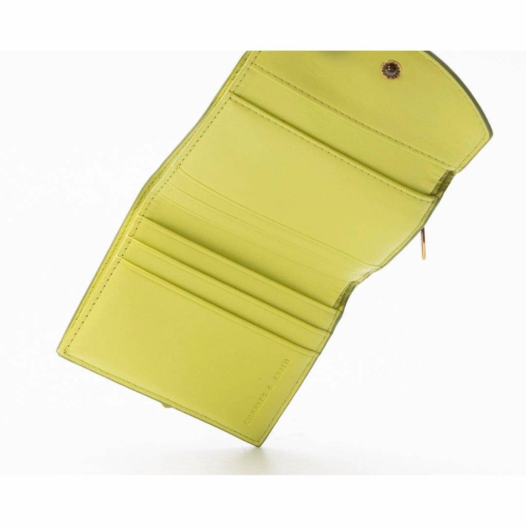 Charles & Keith Beverly Hills Polo Club Color Block Wallet
