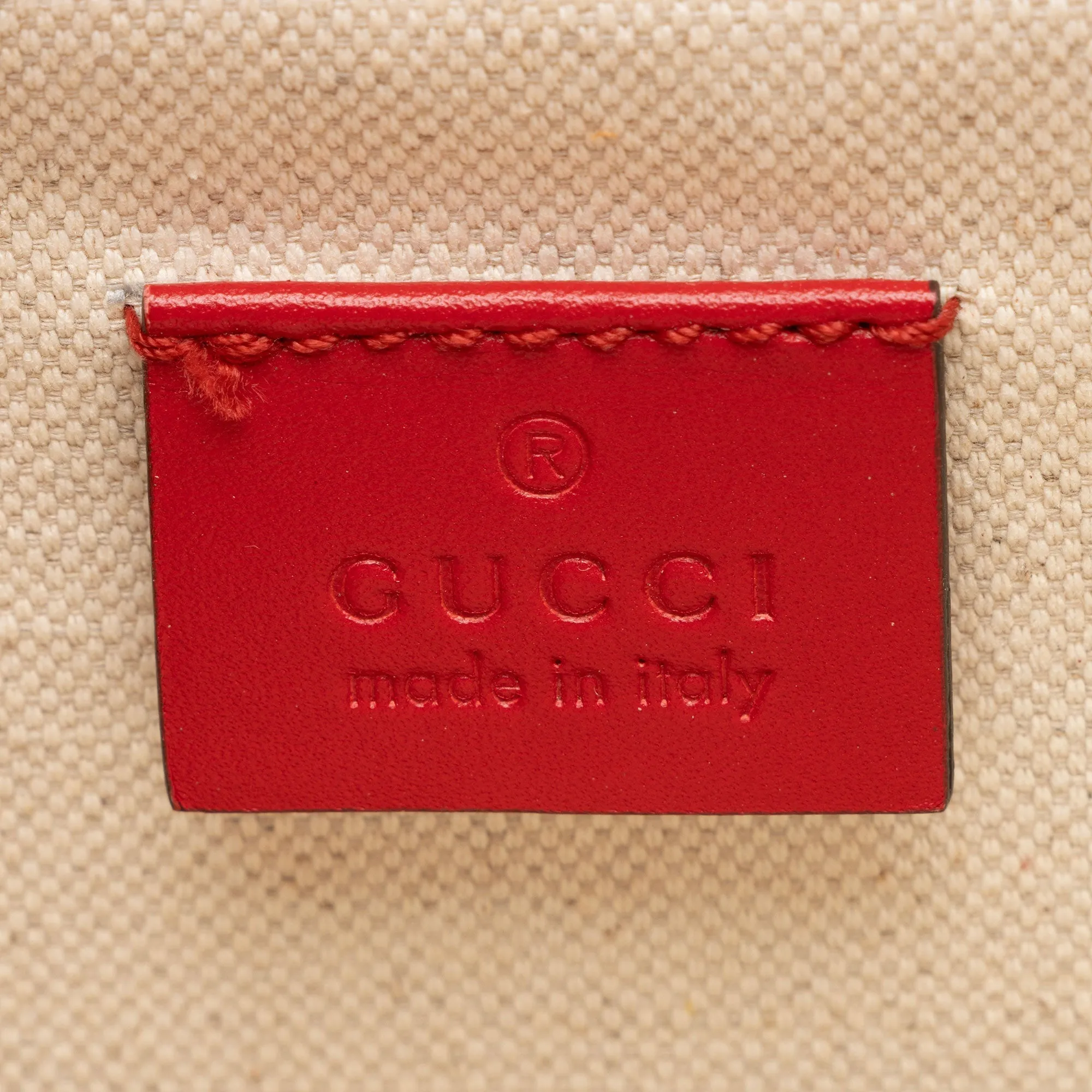 Gucci Leather Chinese New Year Dionysus Medium Shoulder Bag (SHF-IkTWPh)