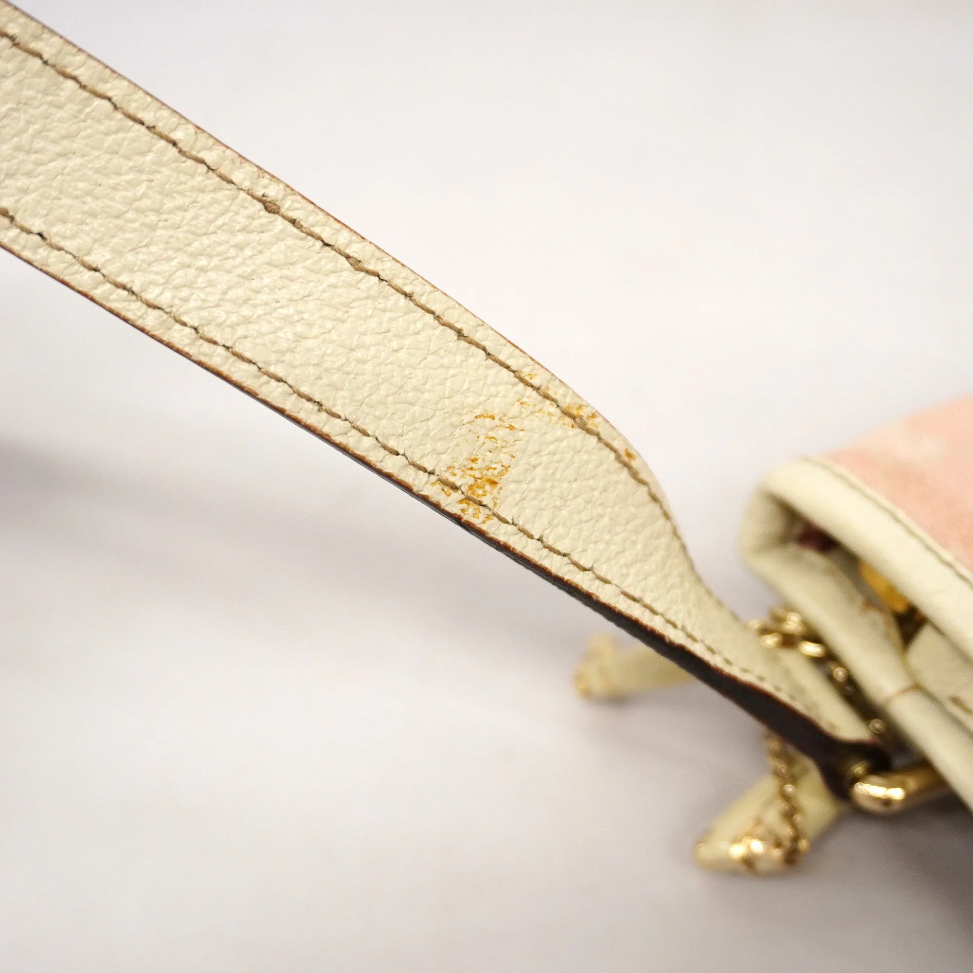 GUCCI  Sherry Line 144388 Women's GG Canvas,Leather Shoulder Bag Ivory,Pink