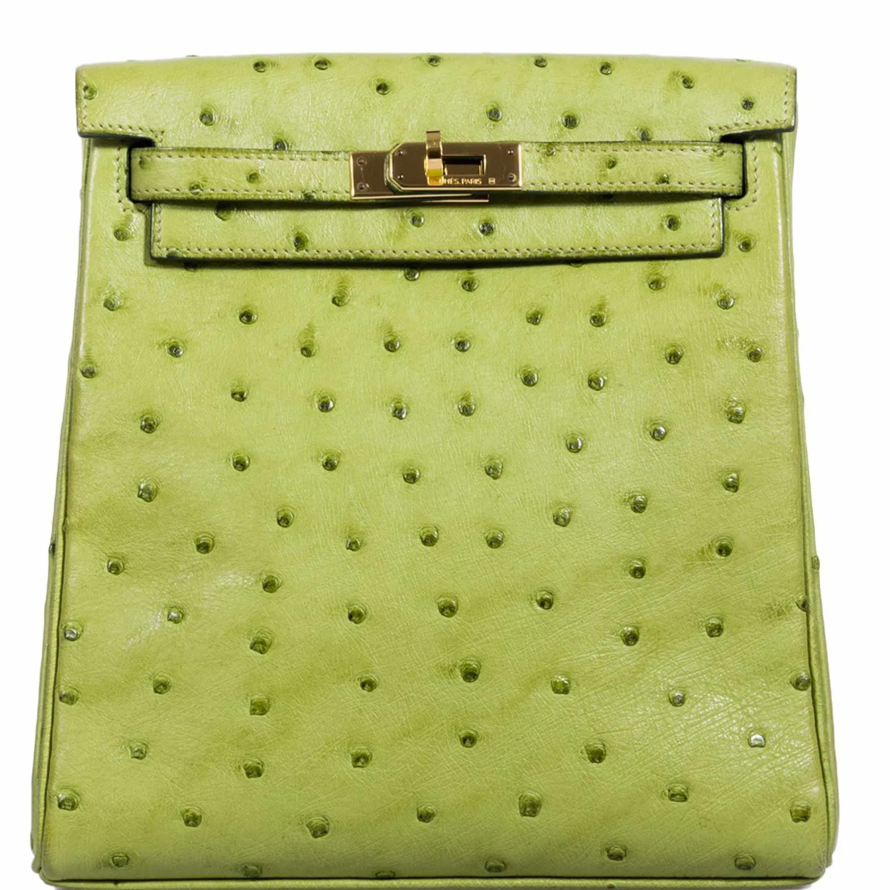 Herms Kelly a Dos Backpack Vert Anis Ostrich Gold Hardware