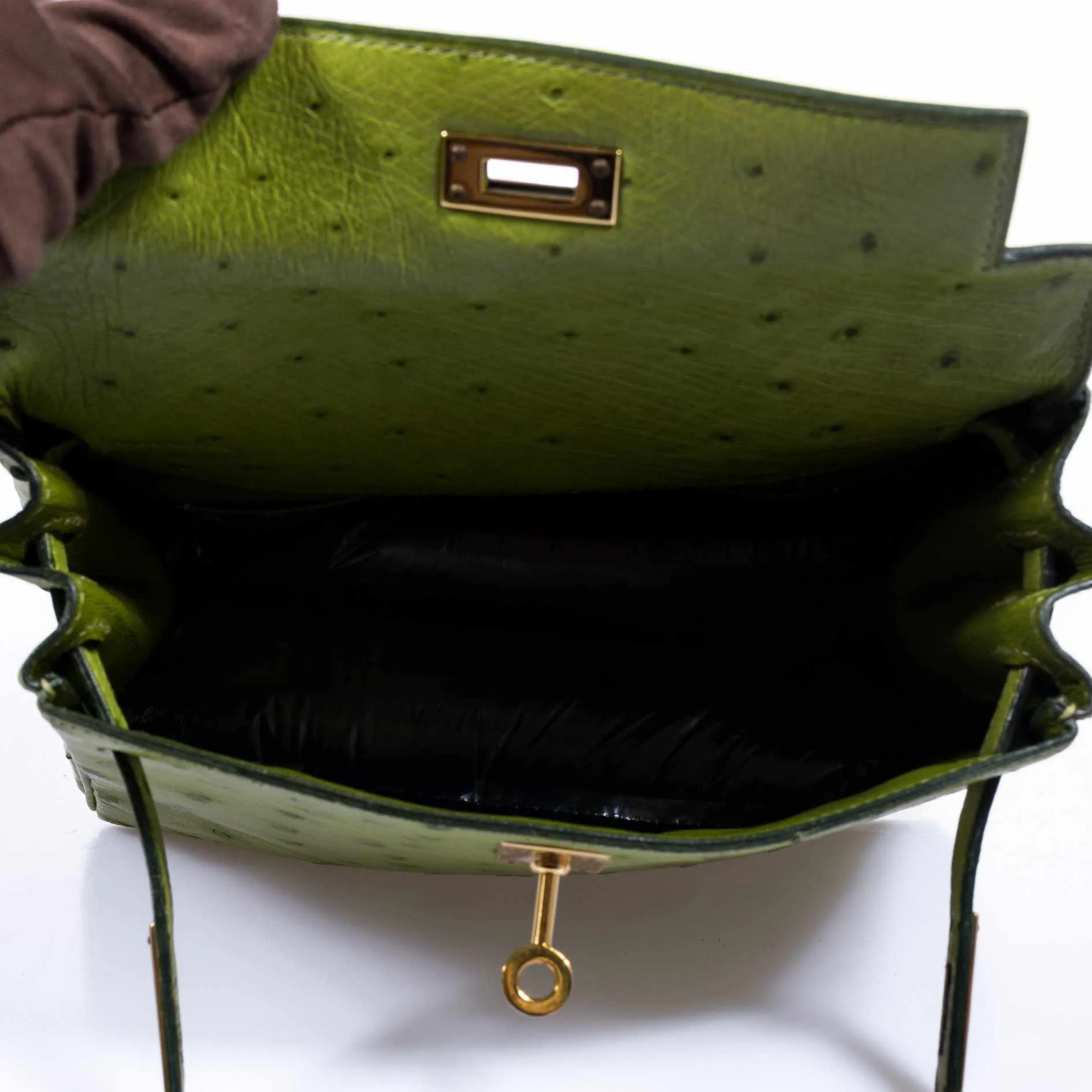 Herms Kelly a Dos Backpack Vert Anis Ostrich Gold Hardware