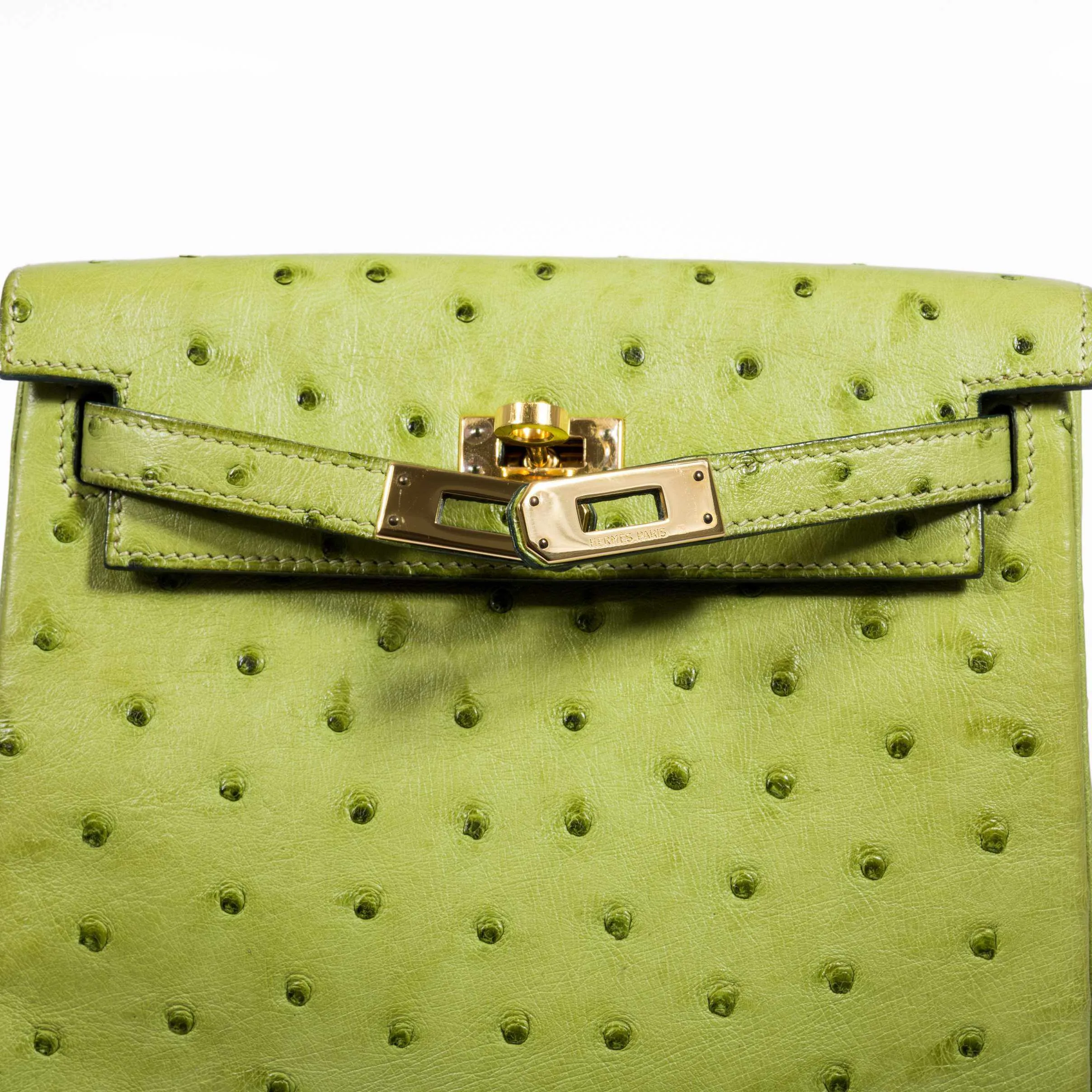 Herms Kelly a Dos Backpack Vert Anis Ostrich Gold Hardware