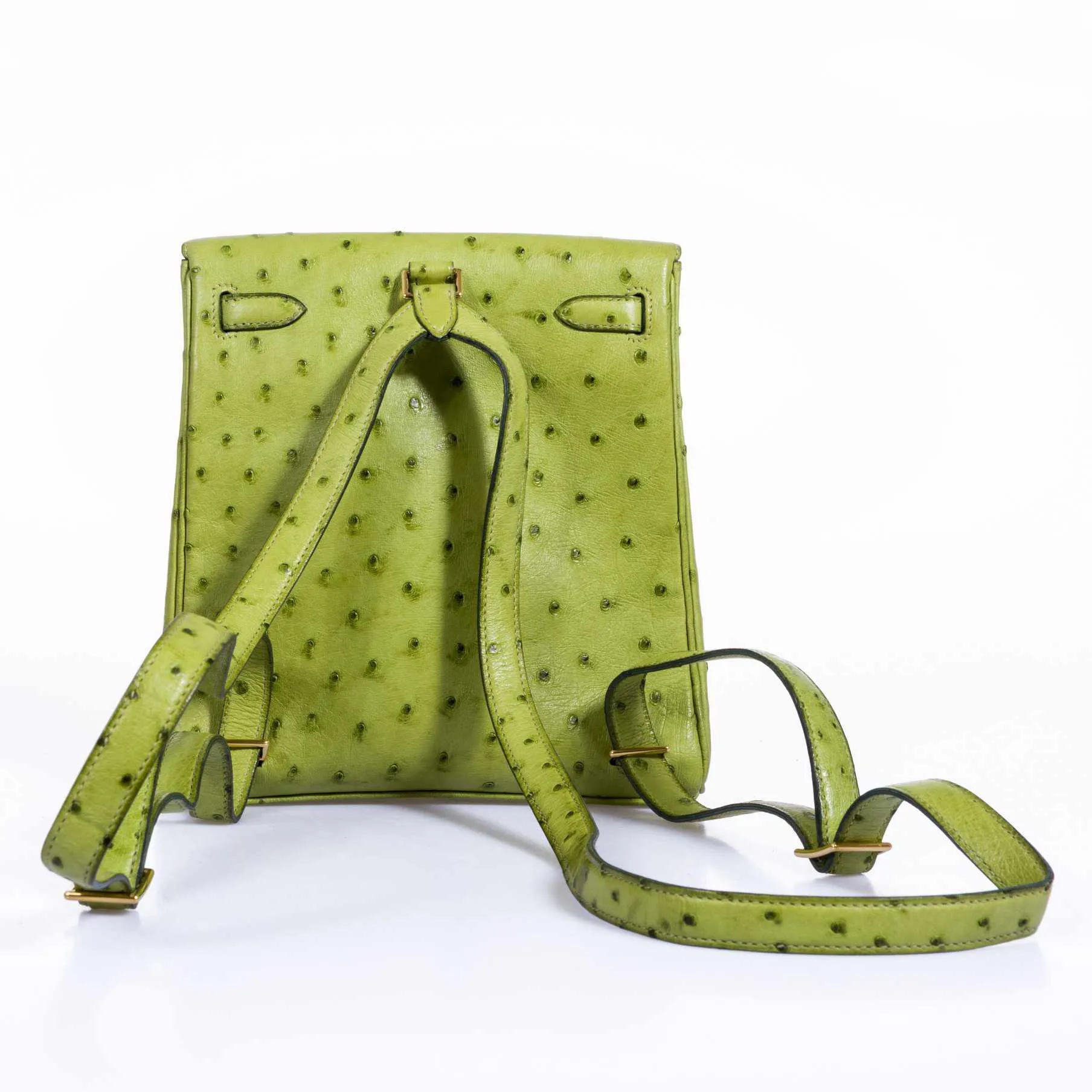 Herms Kelly a Dos Backpack Vert Anis Ostrich Gold Hardware