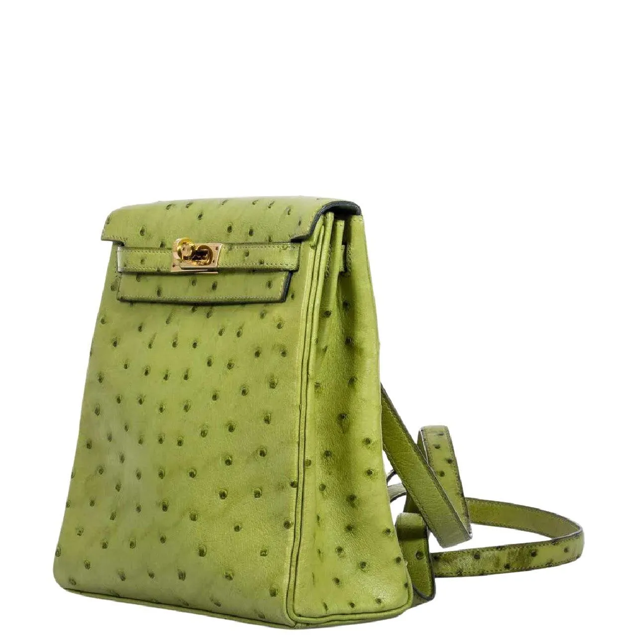 Herms Kelly a Dos Backpack Vert Anis Ostrich Gold Hardware