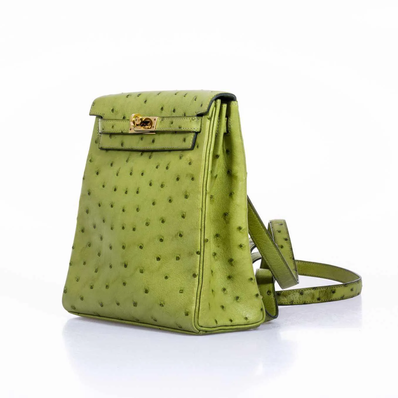Herms Kelly a Dos Backpack Vert Anis Ostrich Gold Hardware