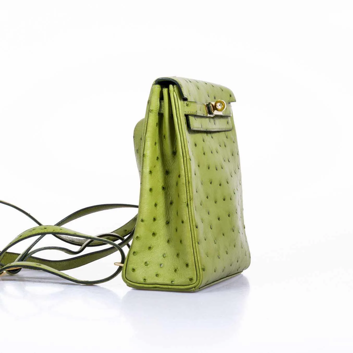 Herms Kelly a Dos Backpack Vert Anis Ostrich Gold Hardware