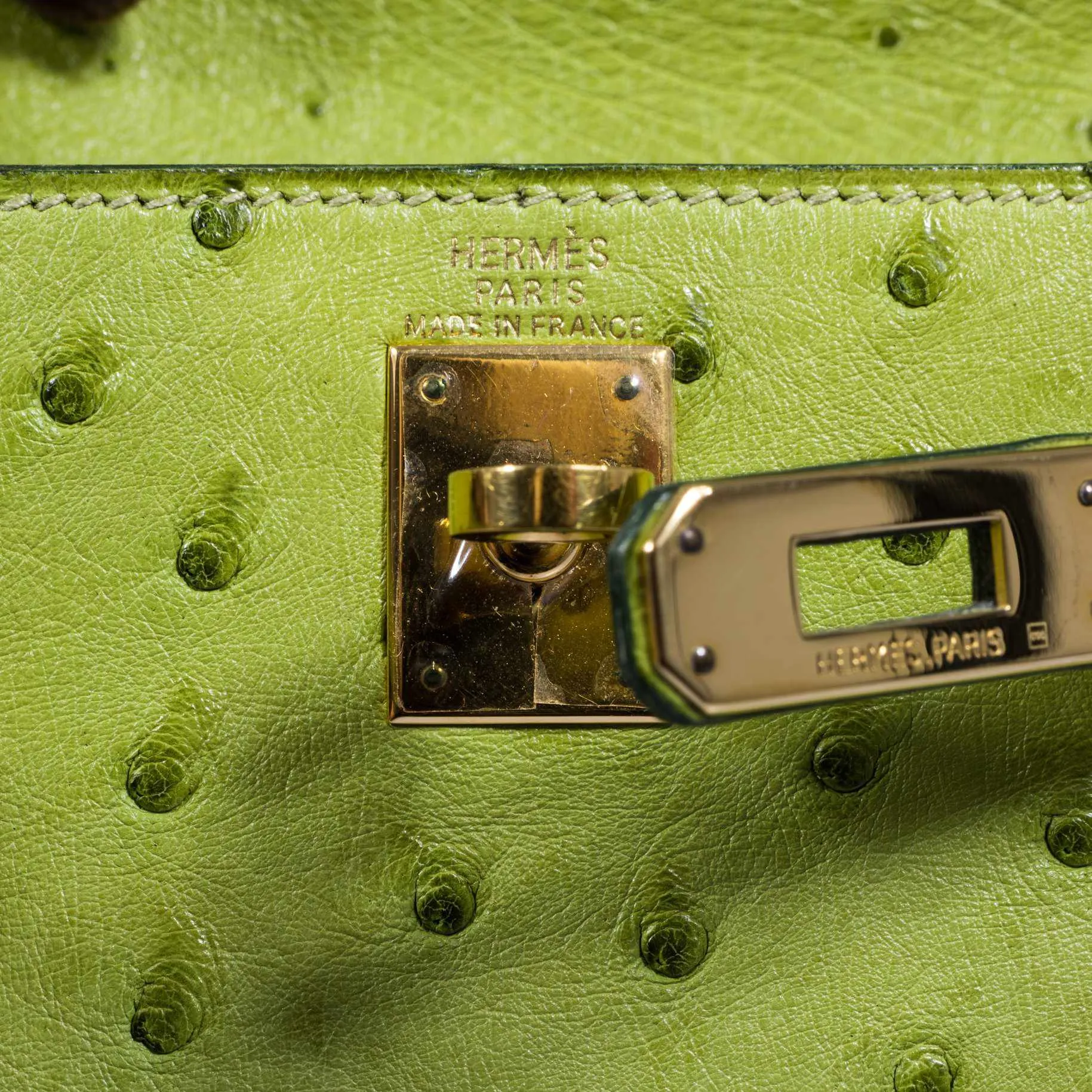 Herms Kelly a Dos Backpack Vert Anis Ostrich Gold Hardware