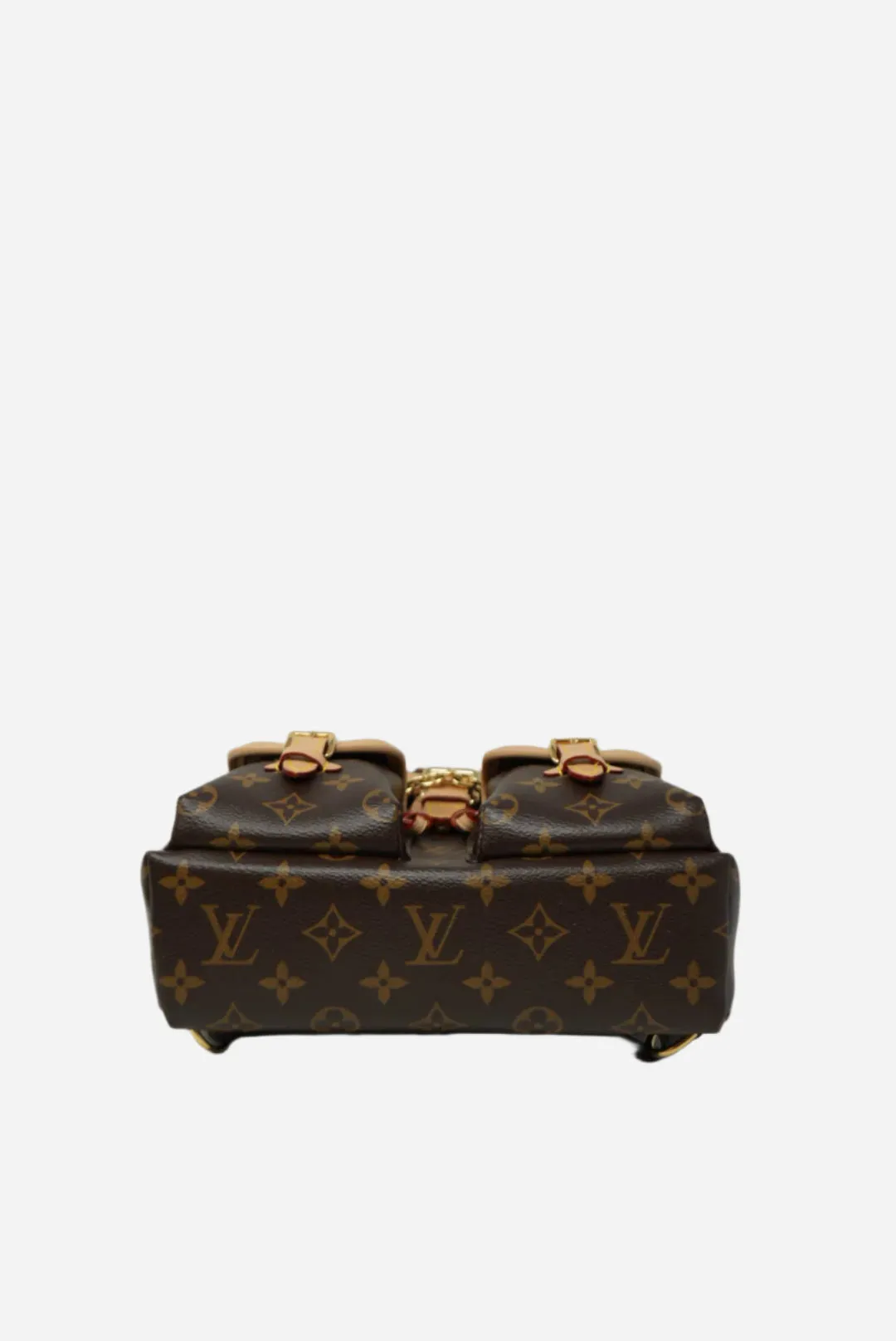 Louis Vuitton Excursion PM Backpack