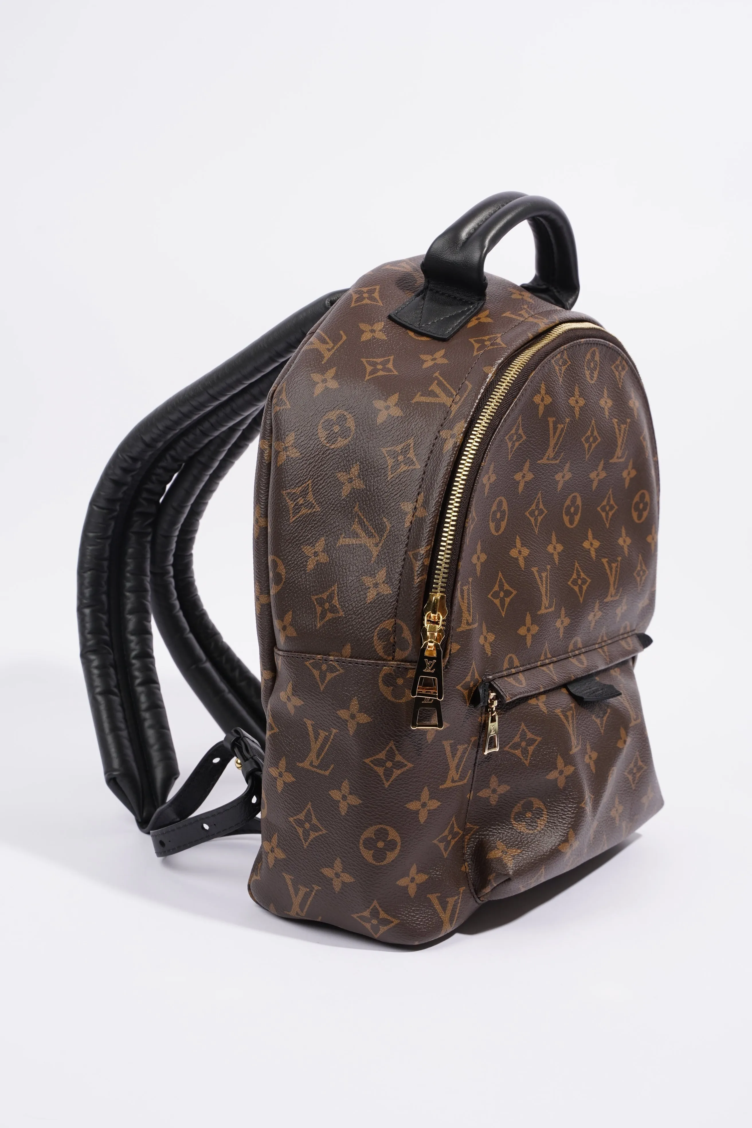 Louis Vuitton Palm Spring Backpack Monogram Canvas MM