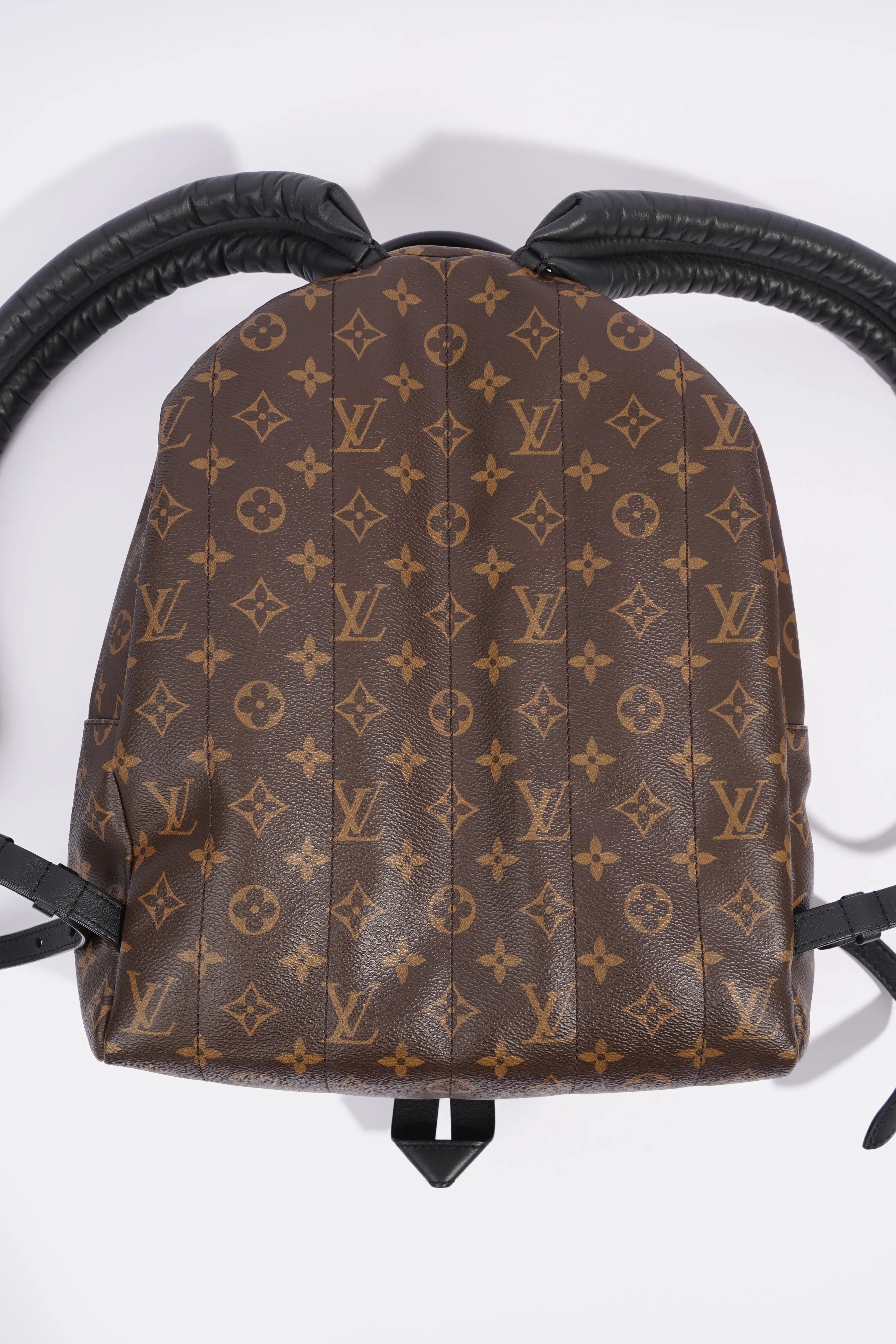 Louis Vuitton Palm Spring Backpack Monogram Canvas MM