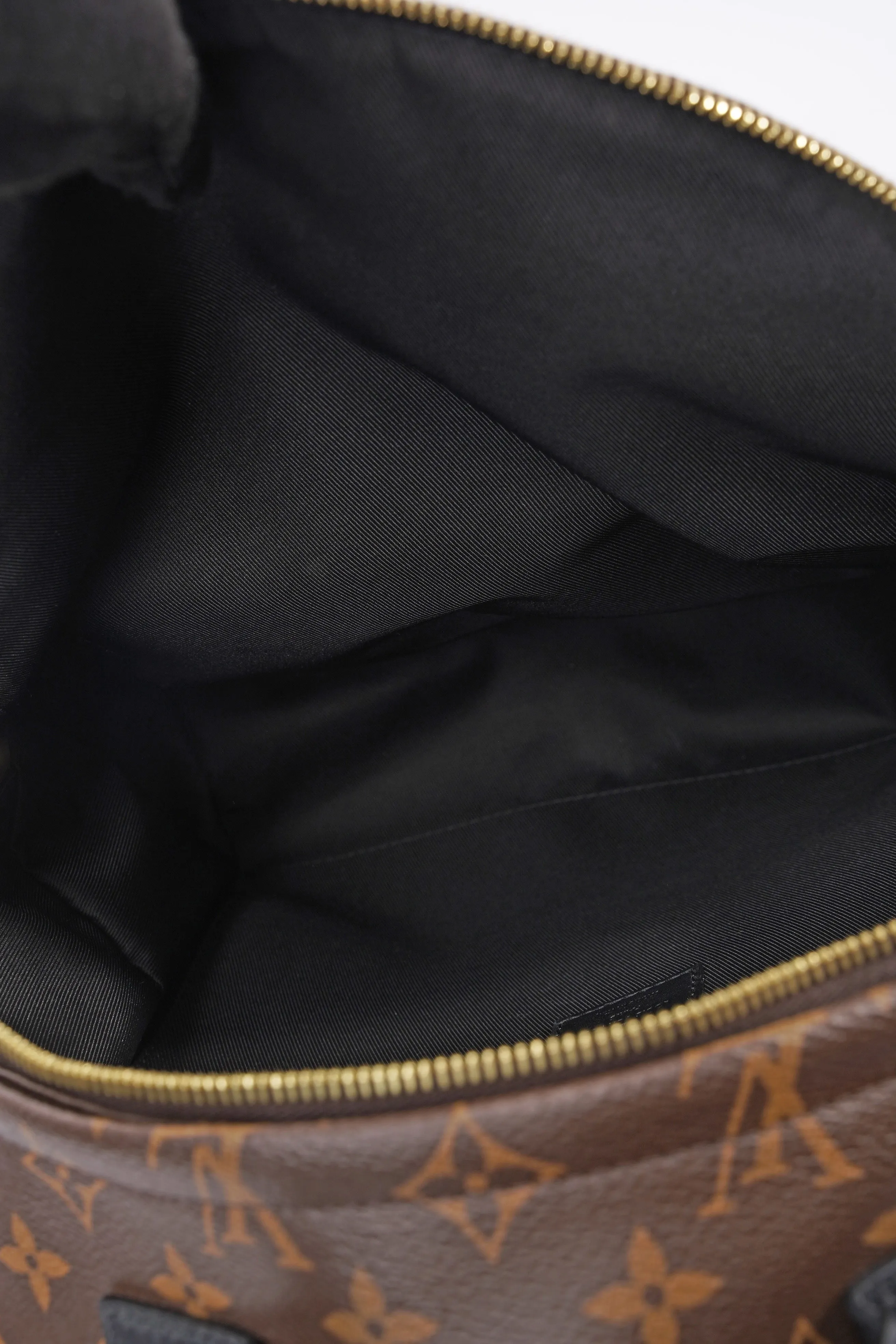 Louis Vuitton Palm Spring Backpack Monogram Canvas MM