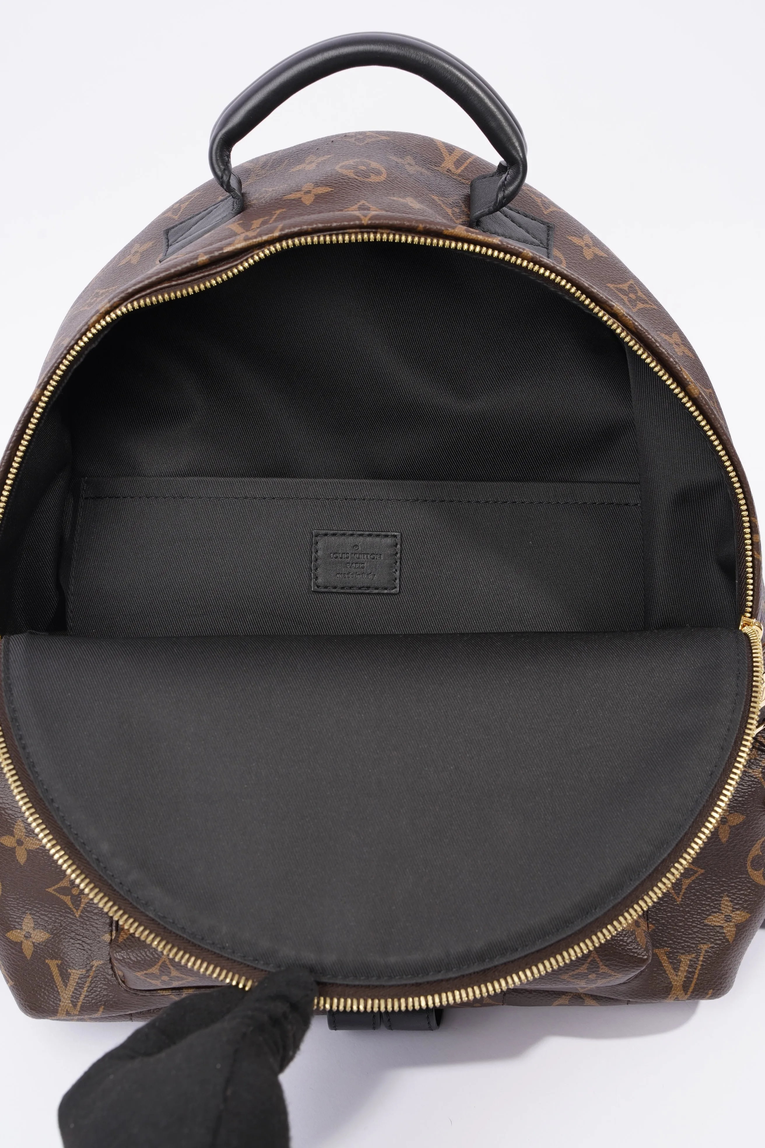 Louis Vuitton Palm Spring Backpack Monogram Canvas MM
