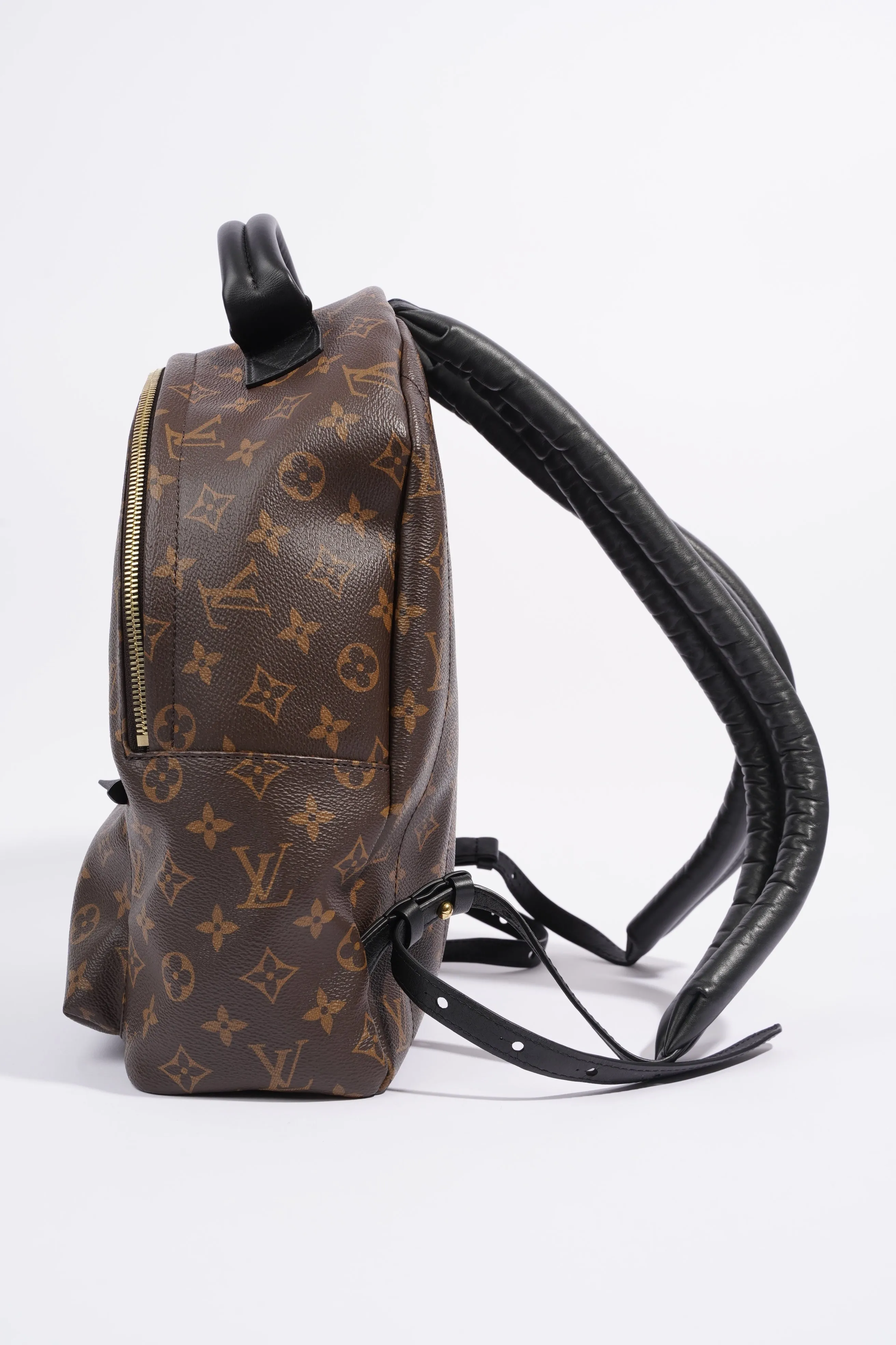 Louis Vuitton Palm Spring Backpack Monogram Canvas MM