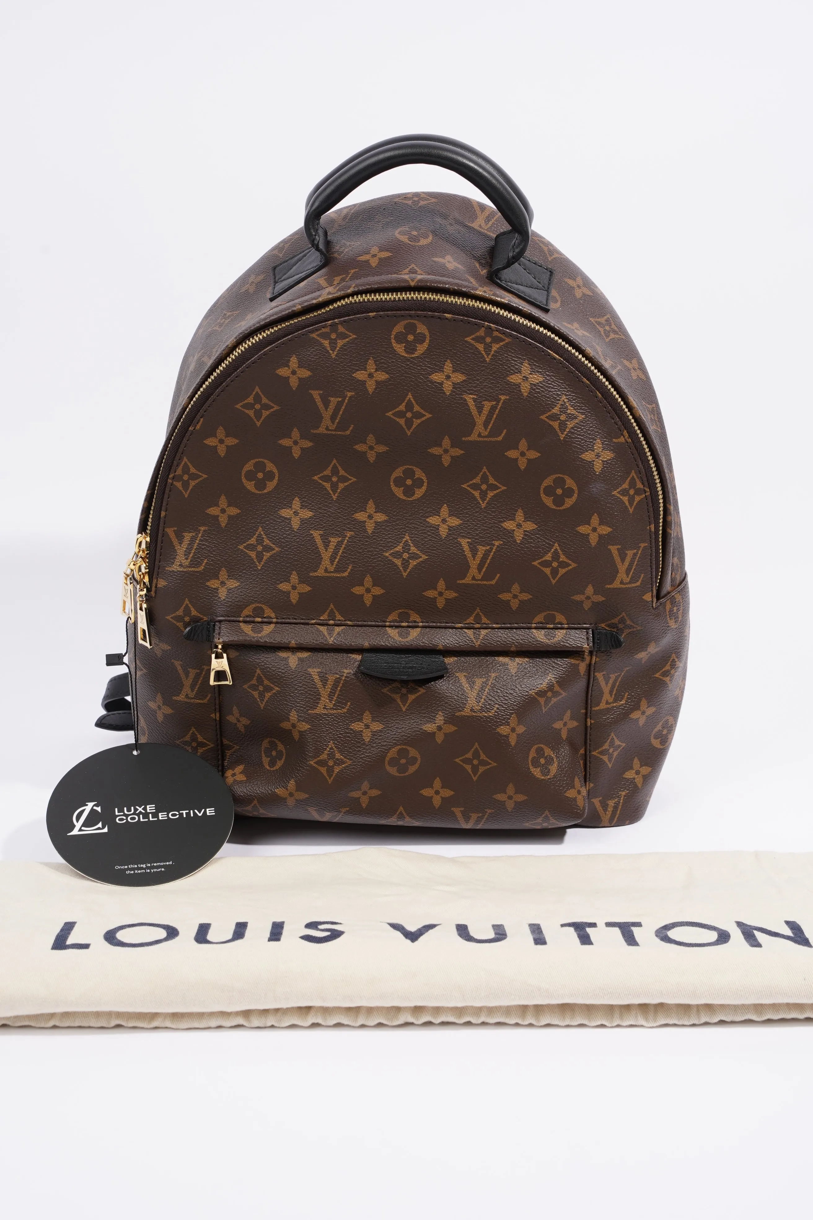Louis Vuitton Palm Spring Backpack Monogram Canvas MM