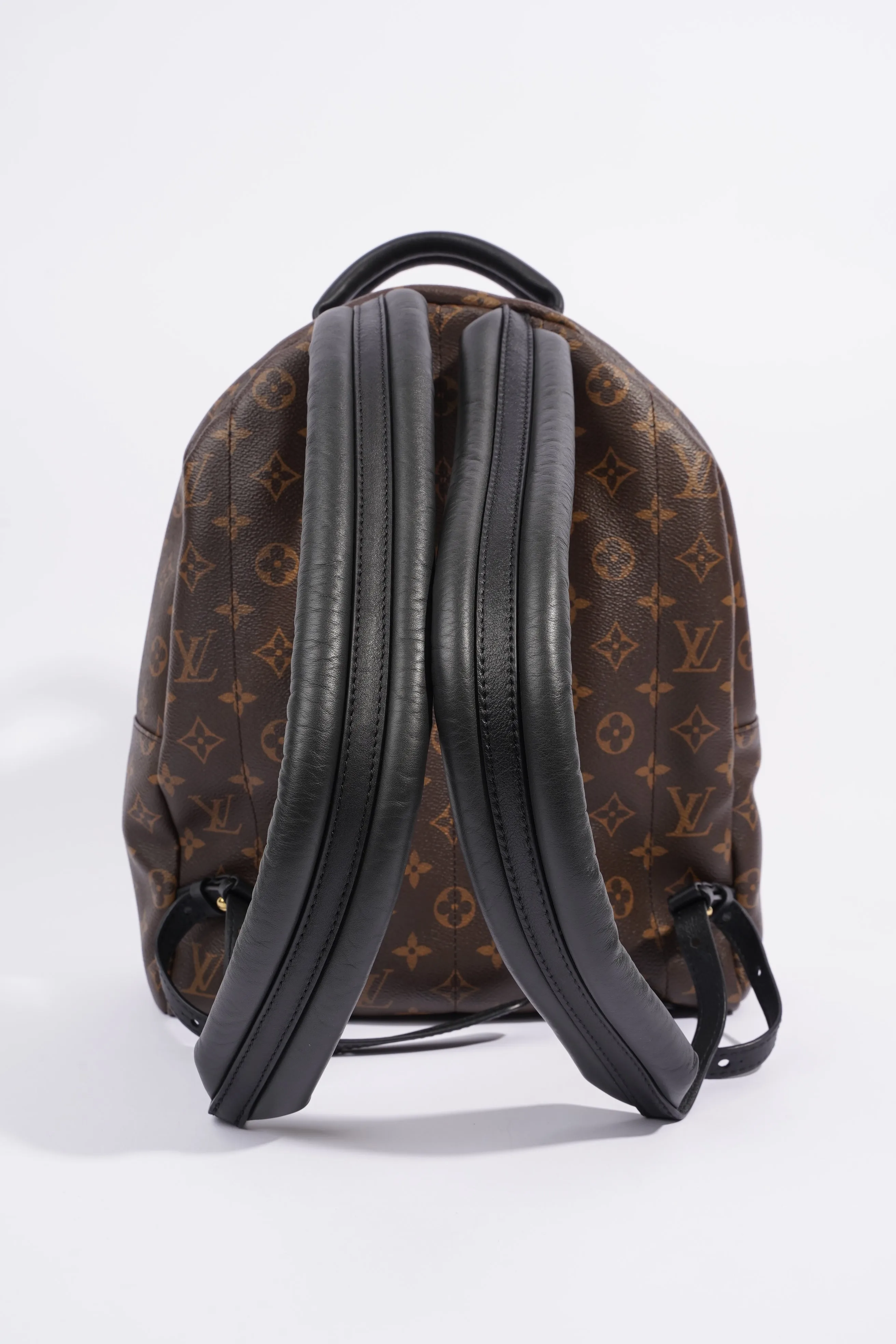 Louis Vuitton Palm Spring Backpack Monogram Canvas MM