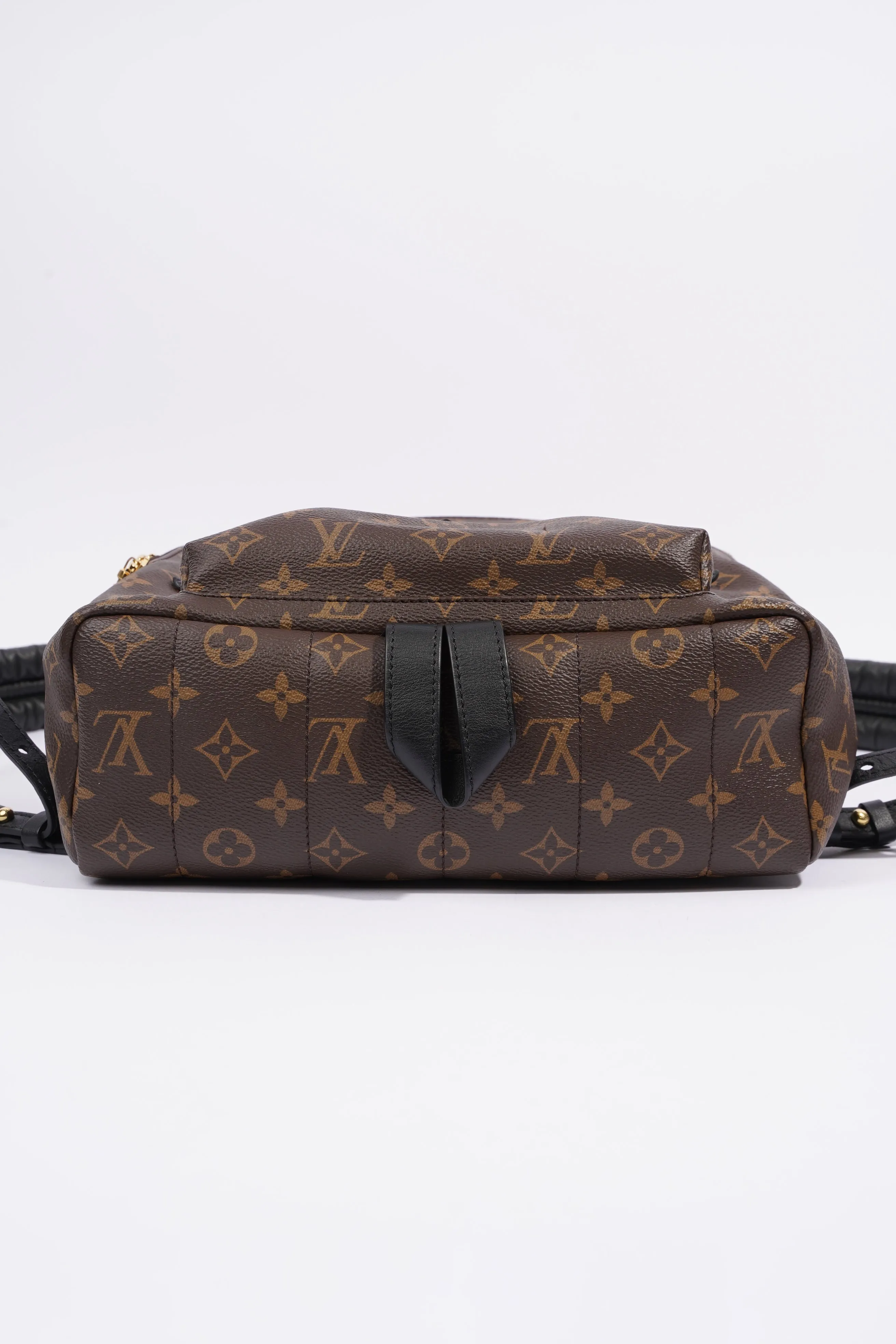 Louis Vuitton Palm Spring Backpack Monogram Canvas MM