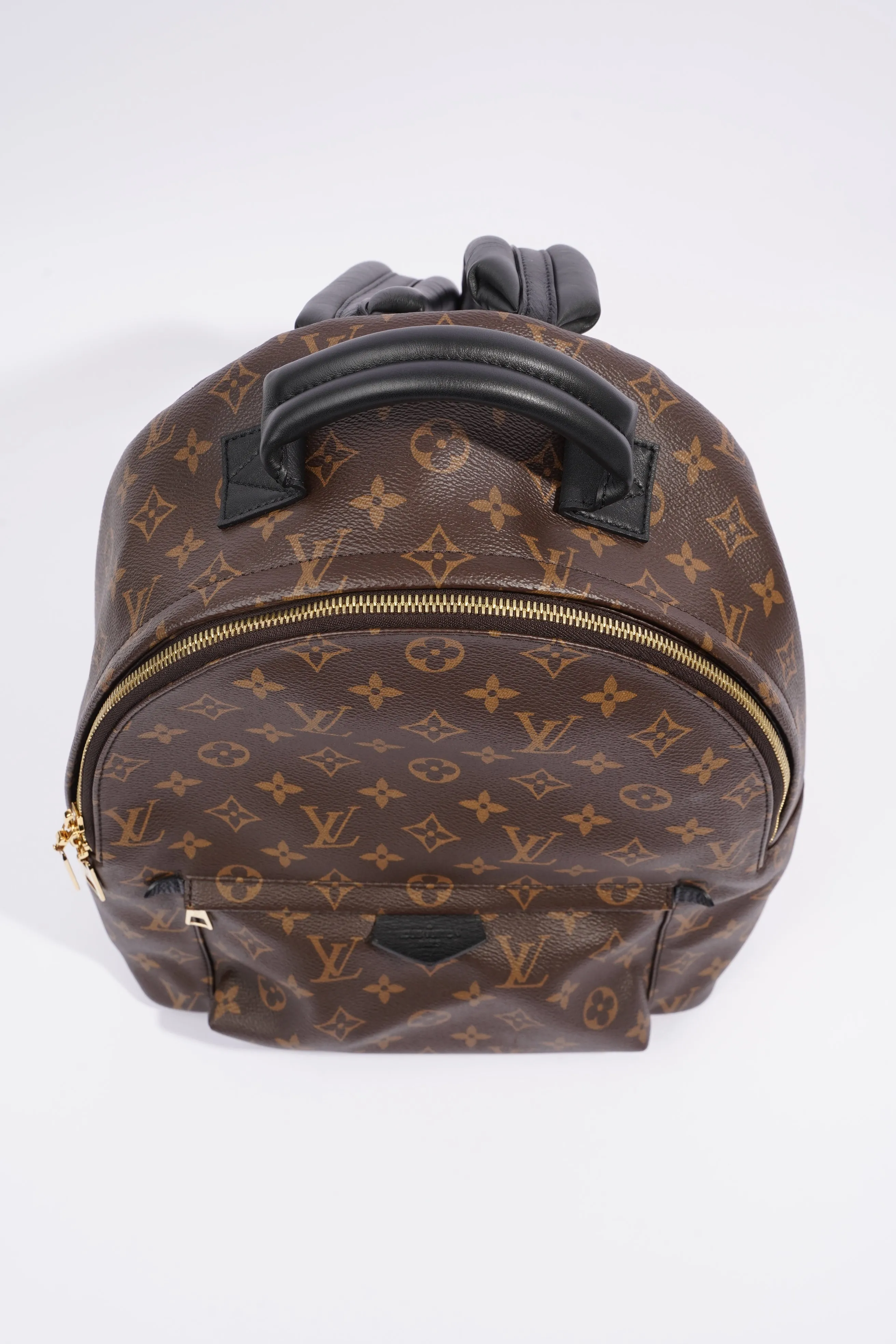 Louis Vuitton Palm Spring Backpack Monogram Canvas MM