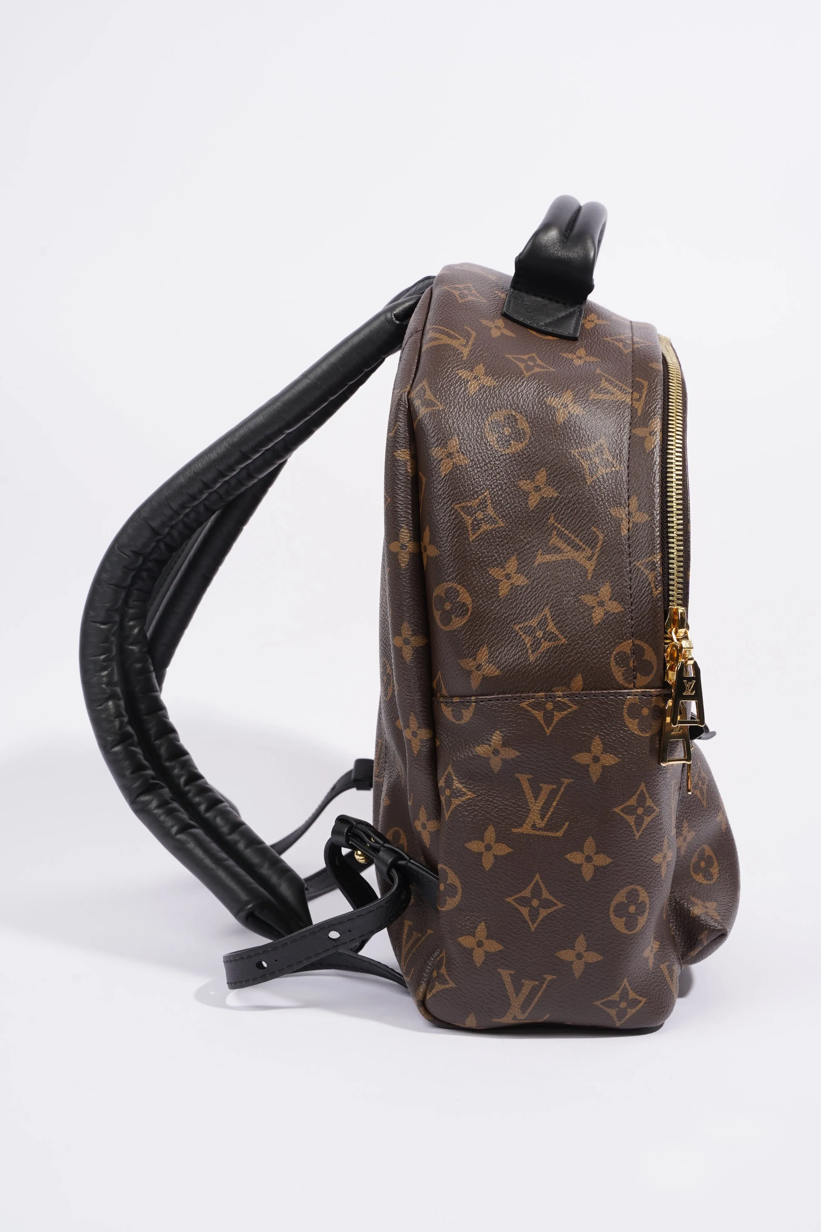 Louis Vuitton Palm Spring Backpack Monogram Canvas MM