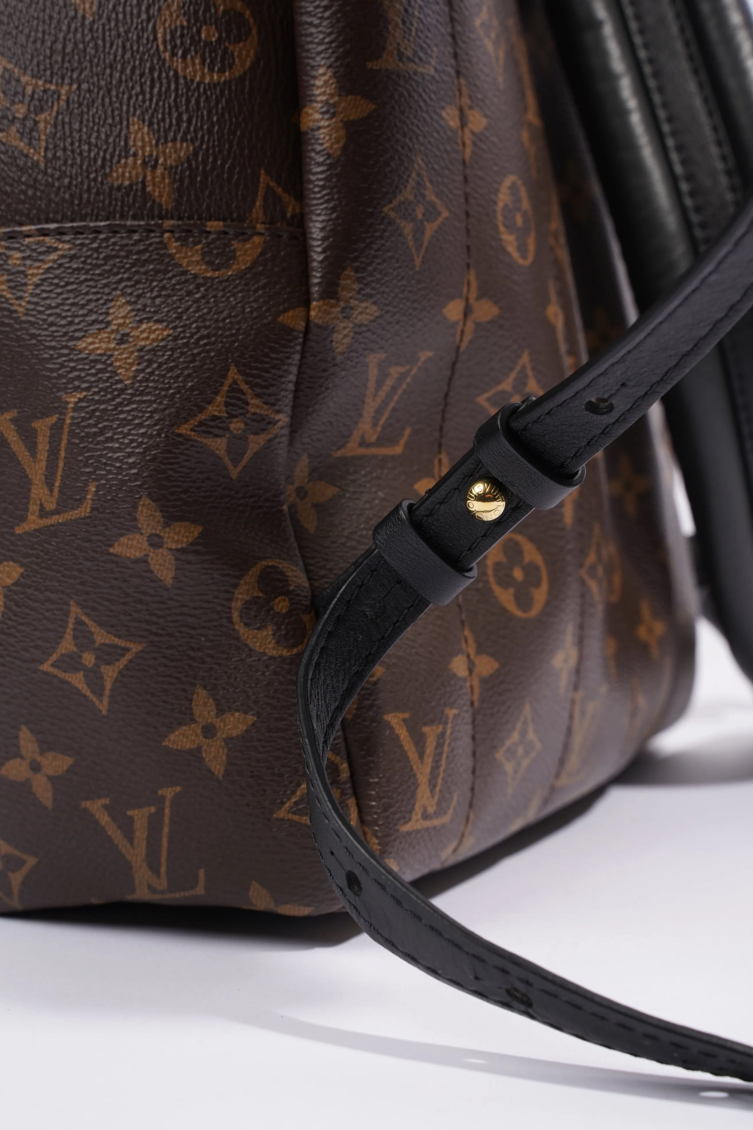 Louis Vuitton Palm Spring Backpack Monogram Canvas MM