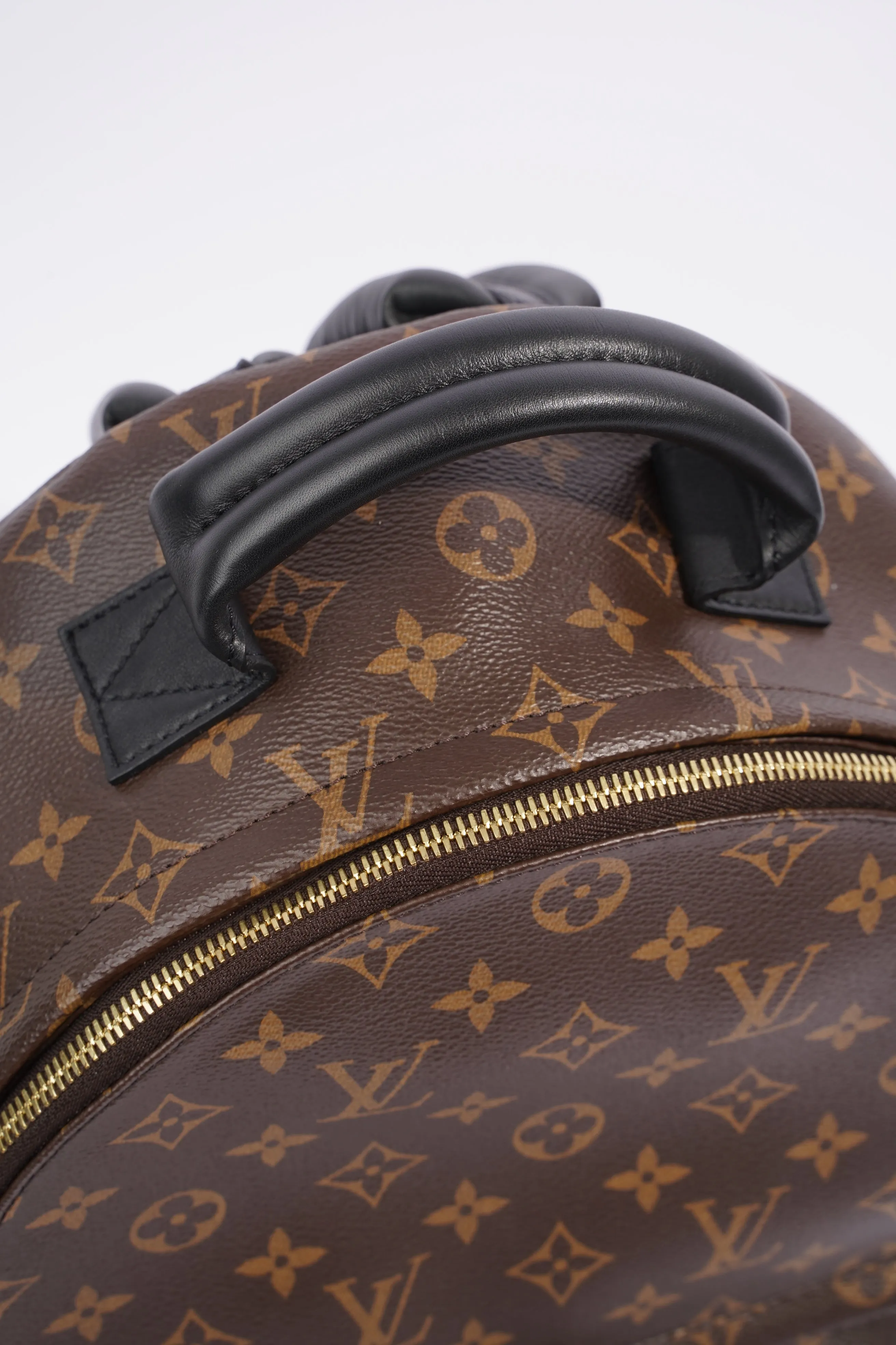 Louis Vuitton Palm Spring Backpack Monogram Canvas MM