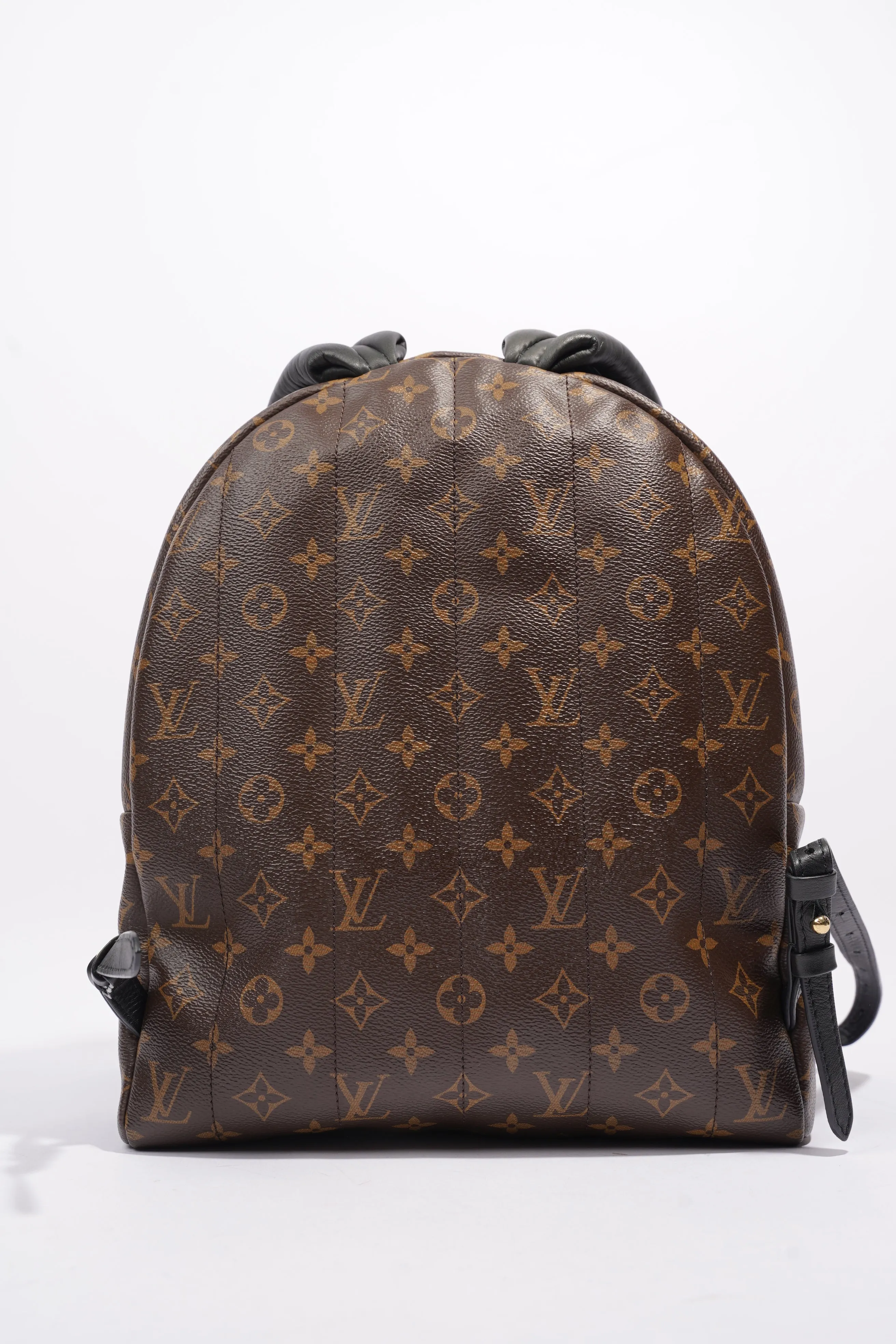 Louis Vuitton Palm Springs Backpack Monogram Coated Canvas MM