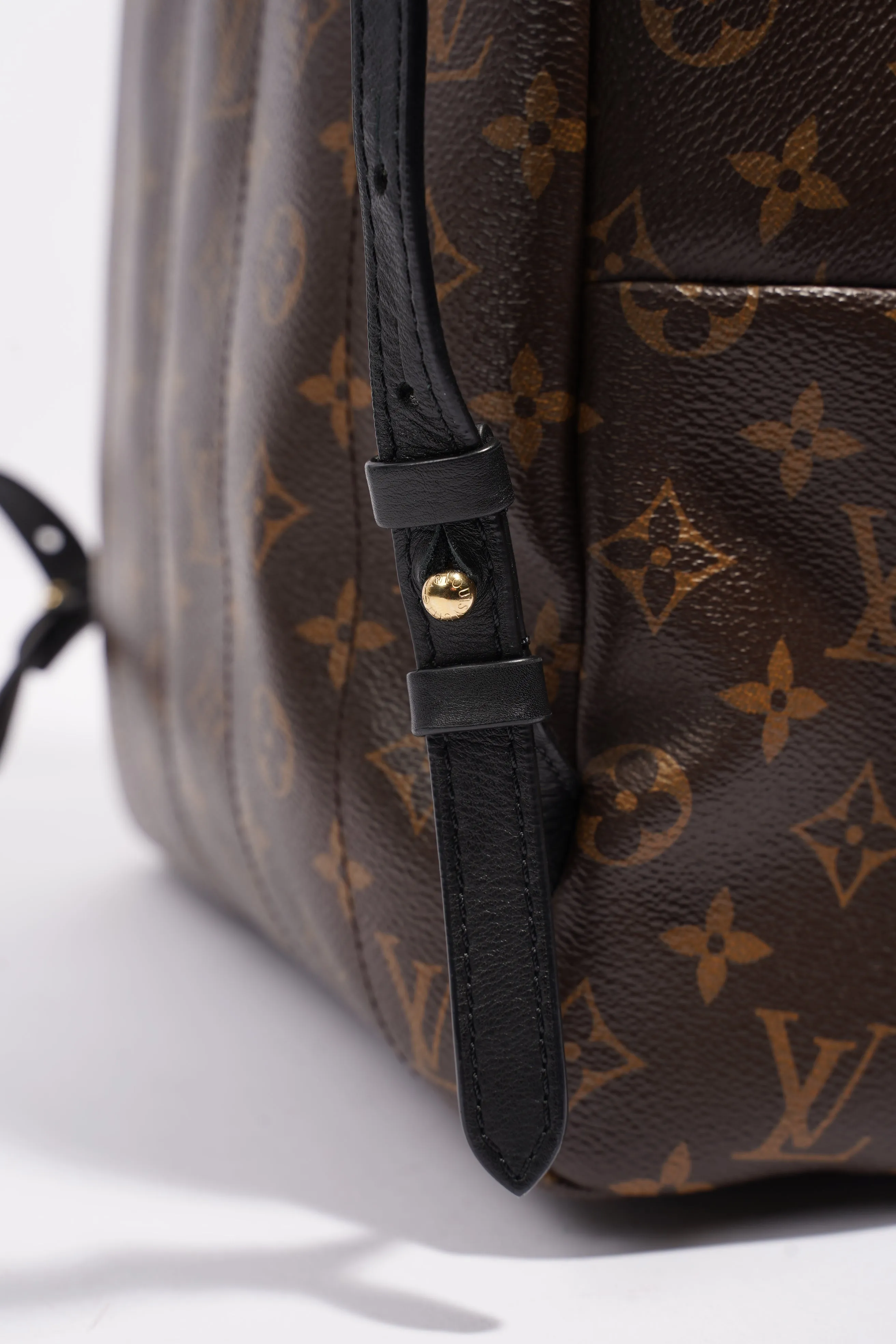Louis Vuitton Palm Springs Backpack Monogram Coated Canvas MM