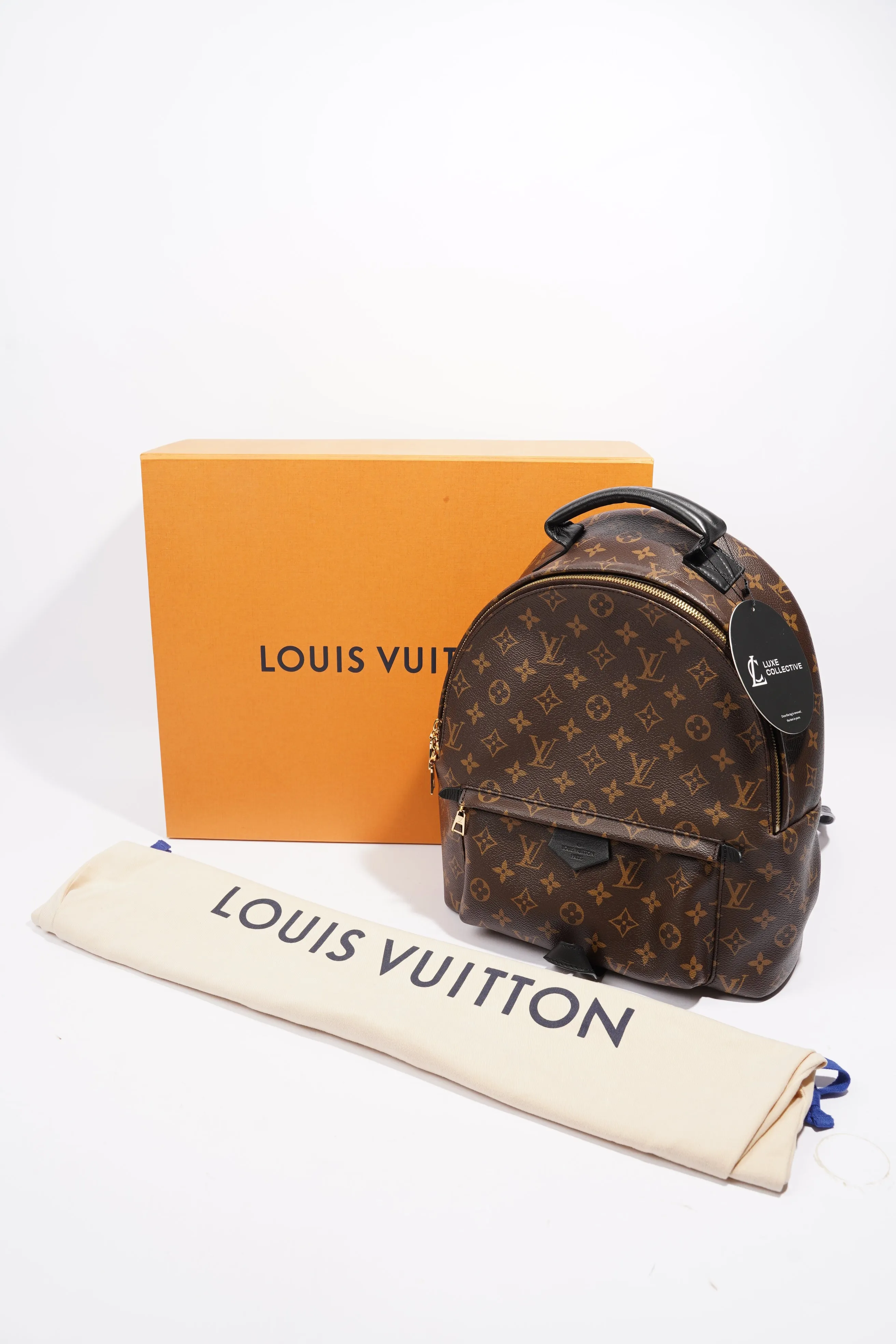 Louis Vuitton Palm Springs Backpack Monogram Coated Canvas MM