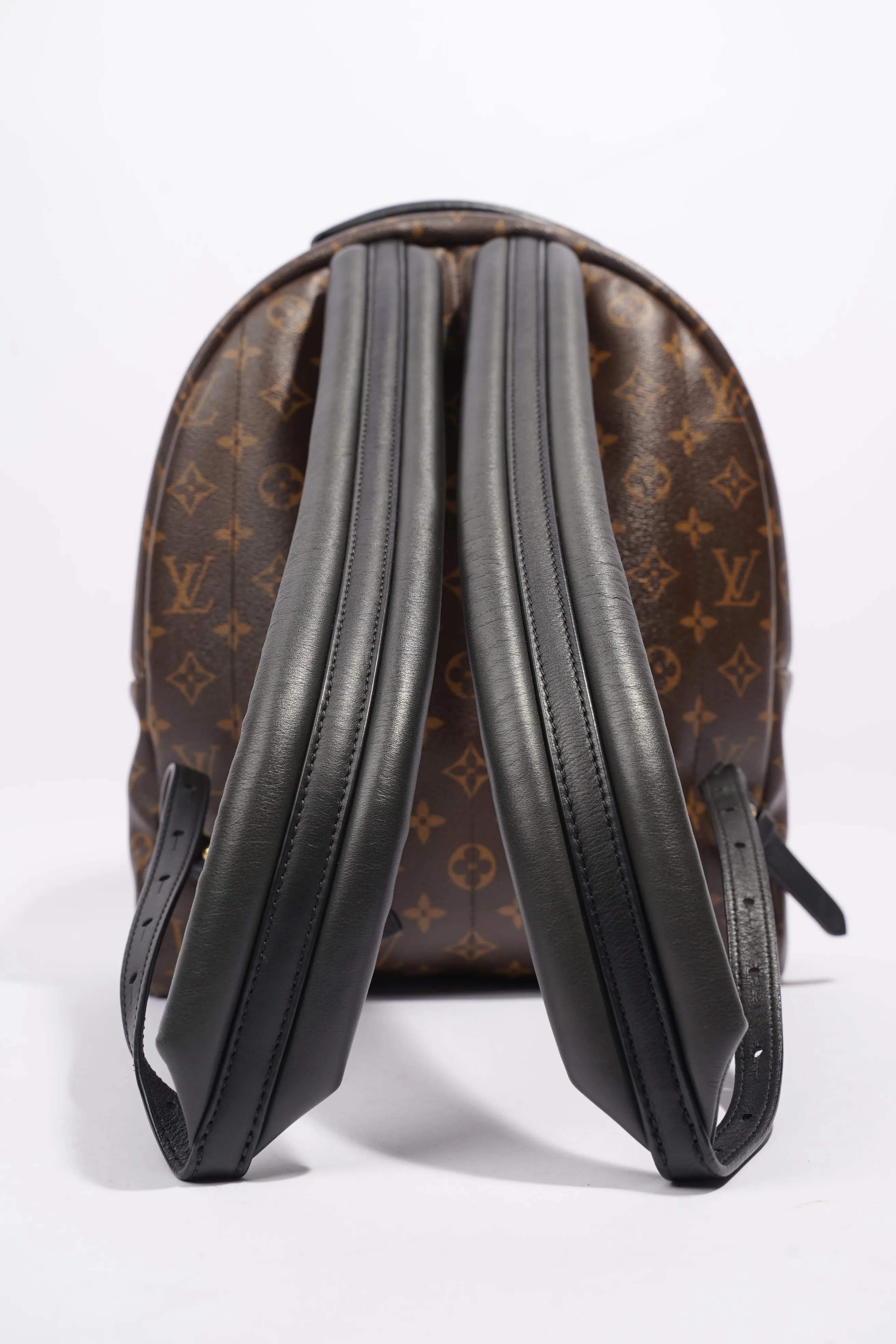 Louis Vuitton Palm Springs Backpack Monogram Coated Canvas MM