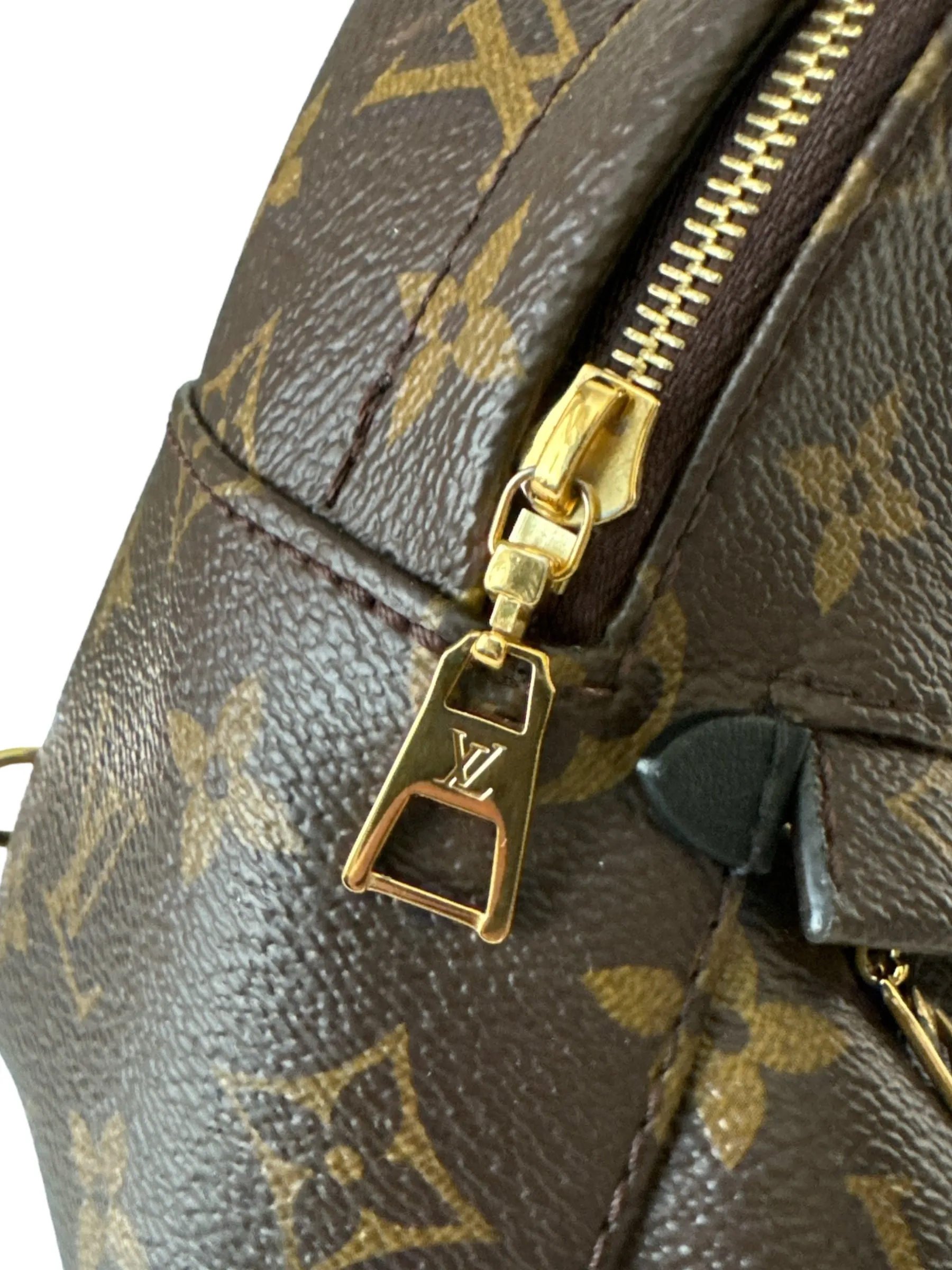 Louis Vuitton Palm Springs Mini Backpack