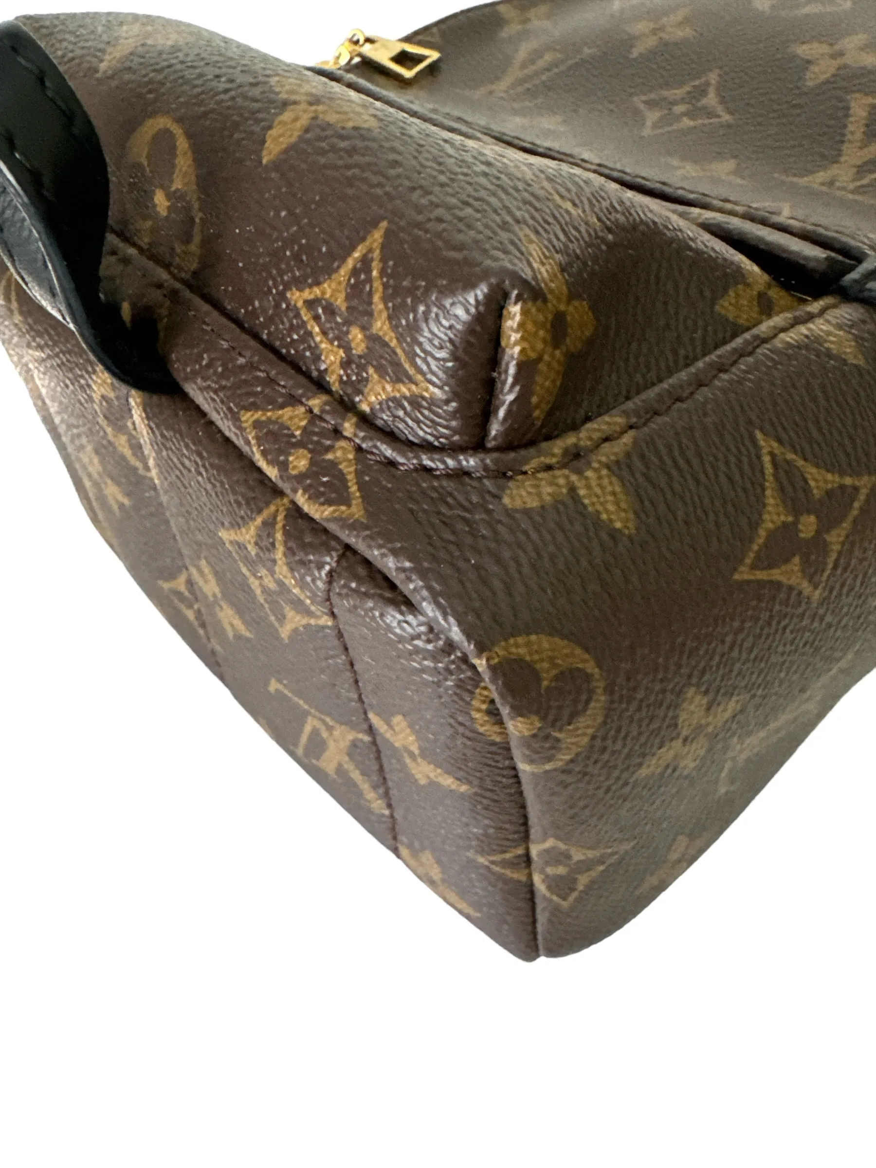 Louis Vuitton Palm Springs Mini Backpack