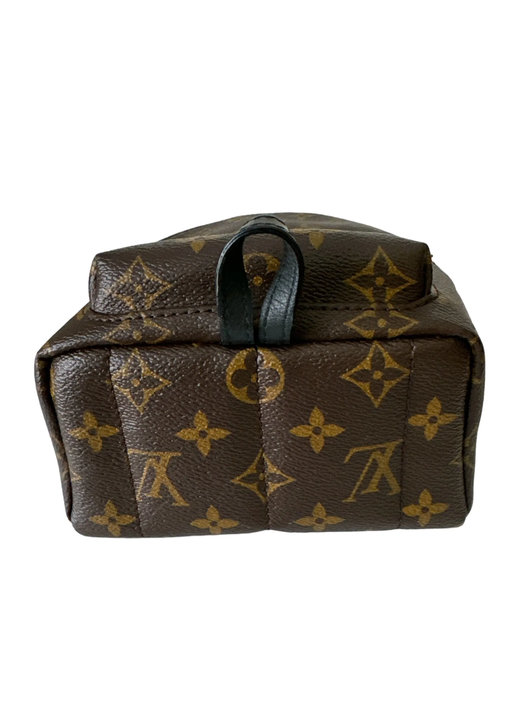 Louis Vuitton Palm Springs Mini Backpack