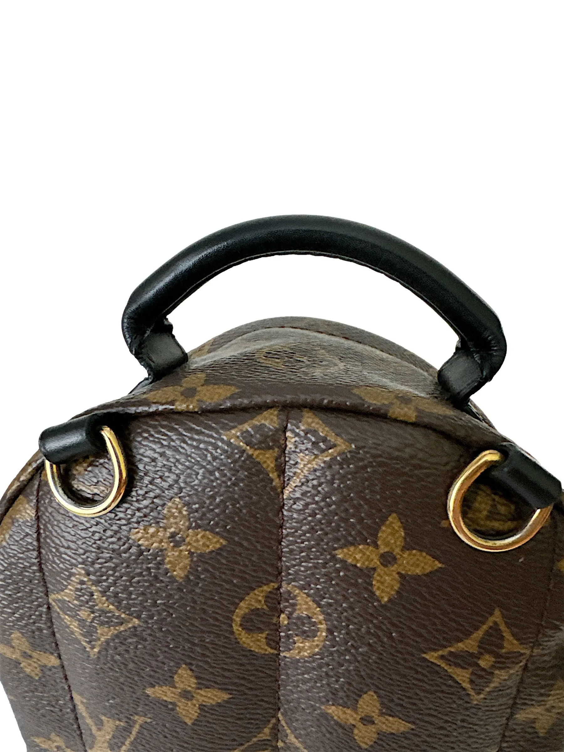 Louis Vuitton Palm Springs Mini Backpack