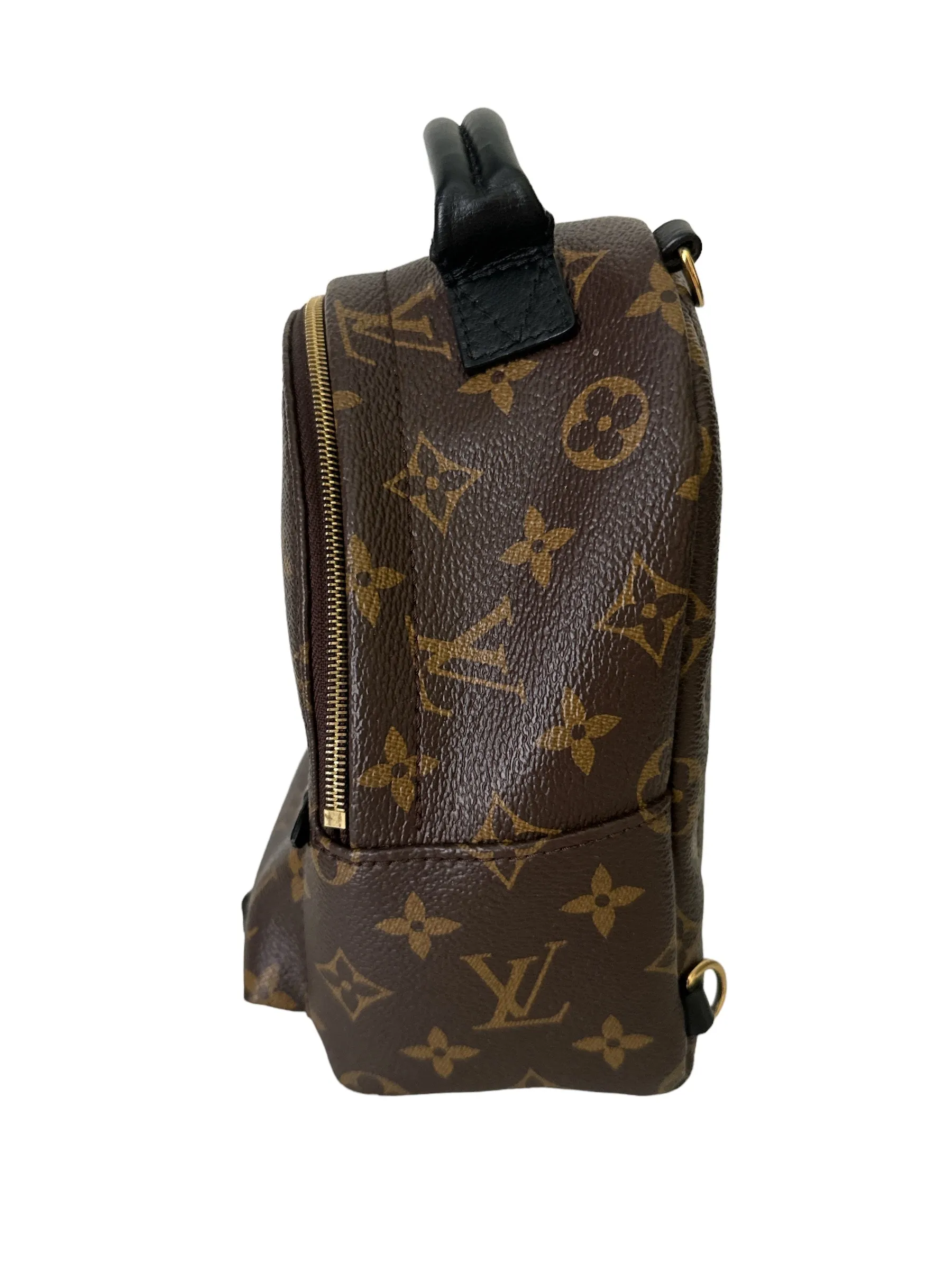 Louis Vuitton Palm Springs Mini Backpack