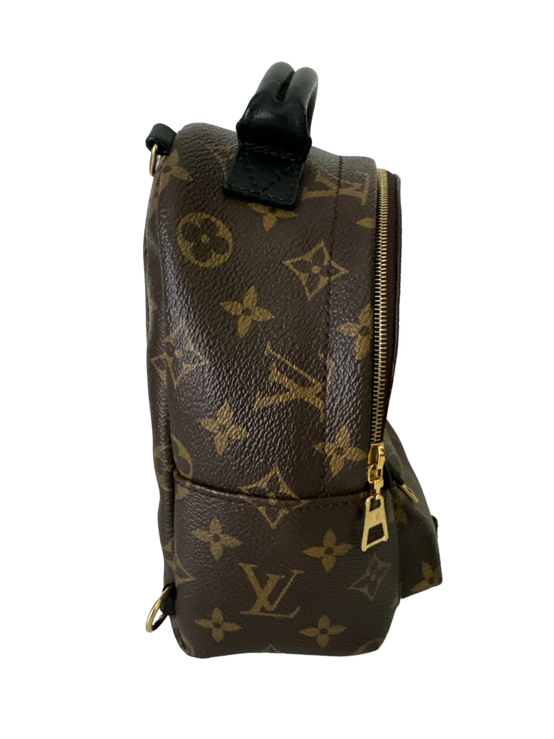Louis Vuitton Palm Springs Mini Backpack
