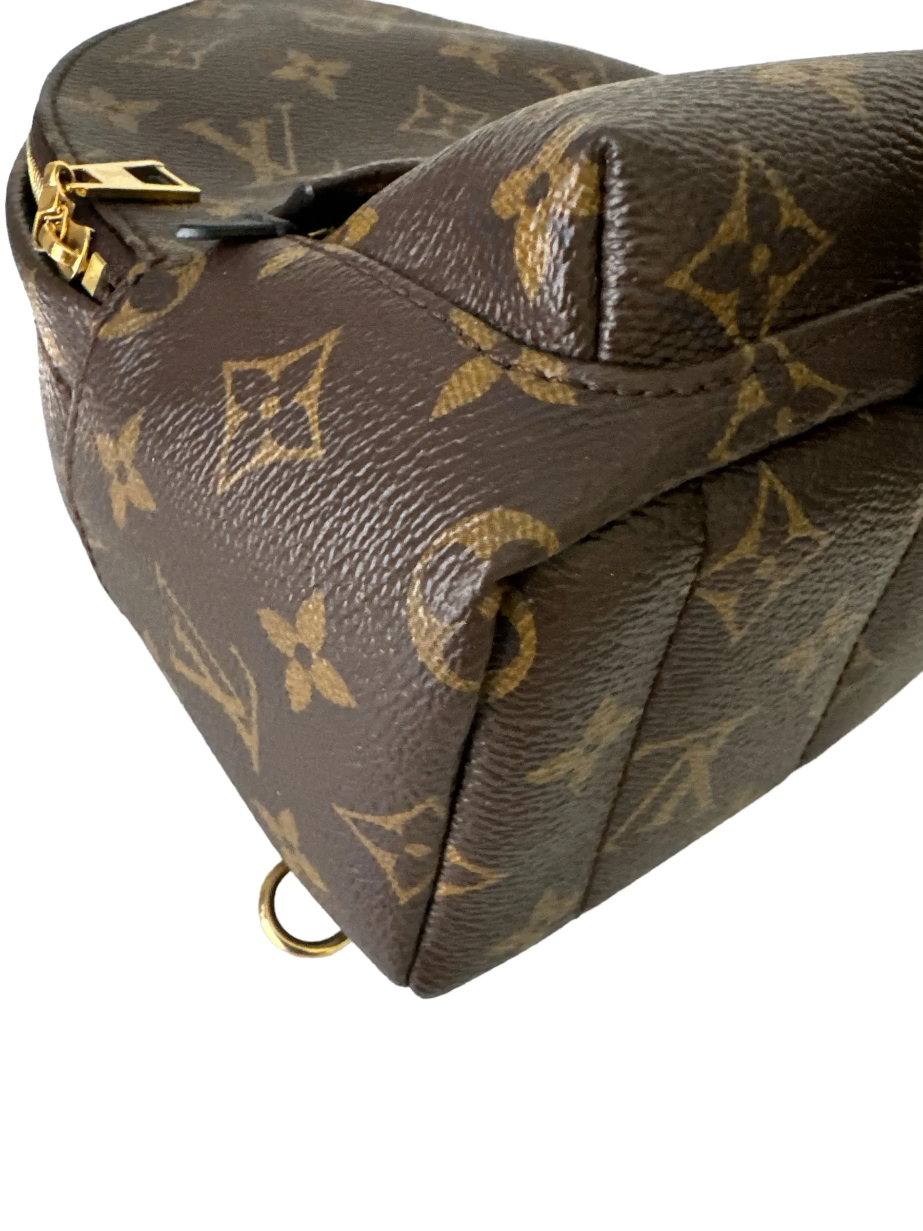 Louis Vuitton Palm Springs Mini Backpack