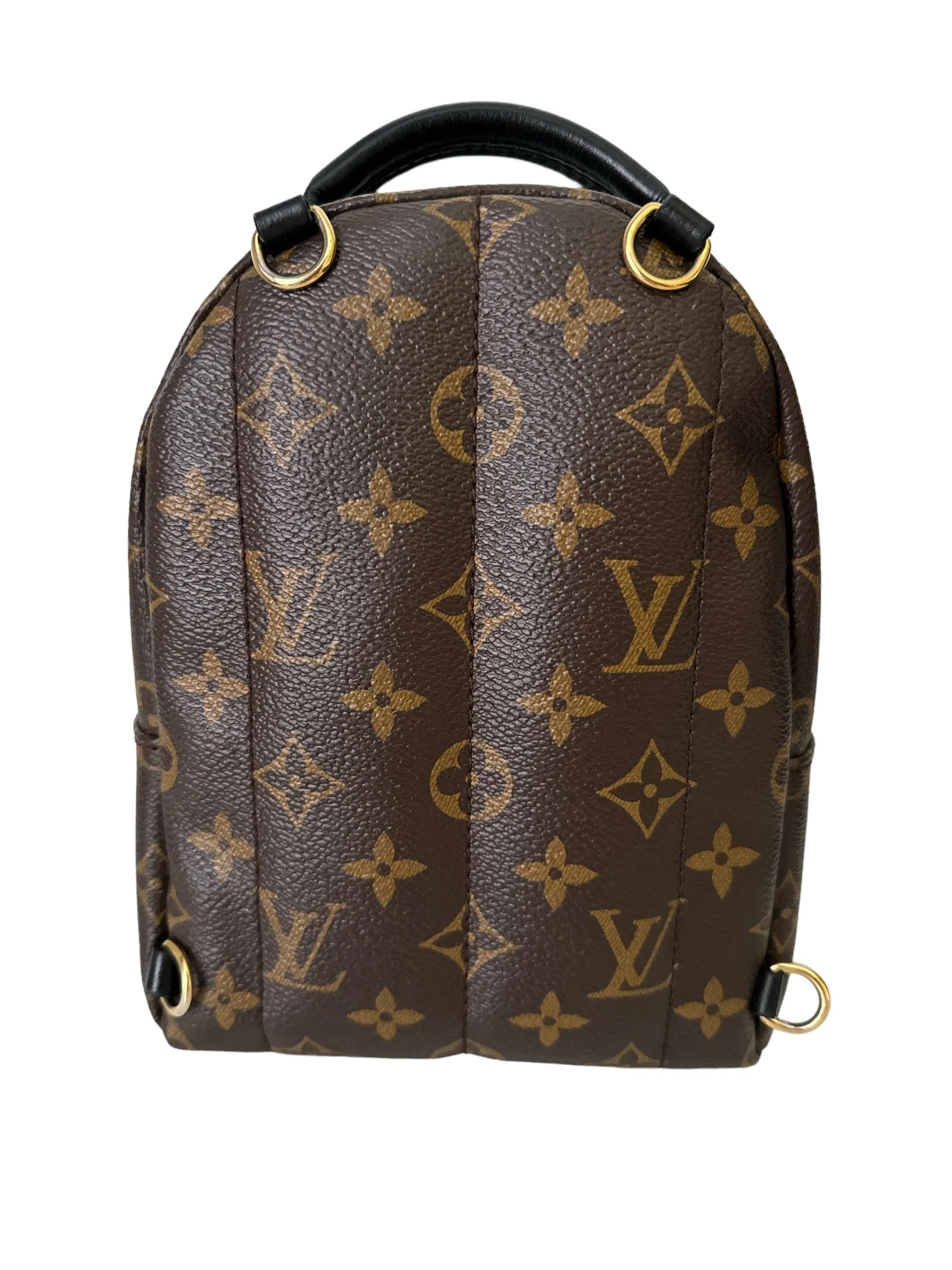 Louis Vuitton Palm Springs Mini Backpack