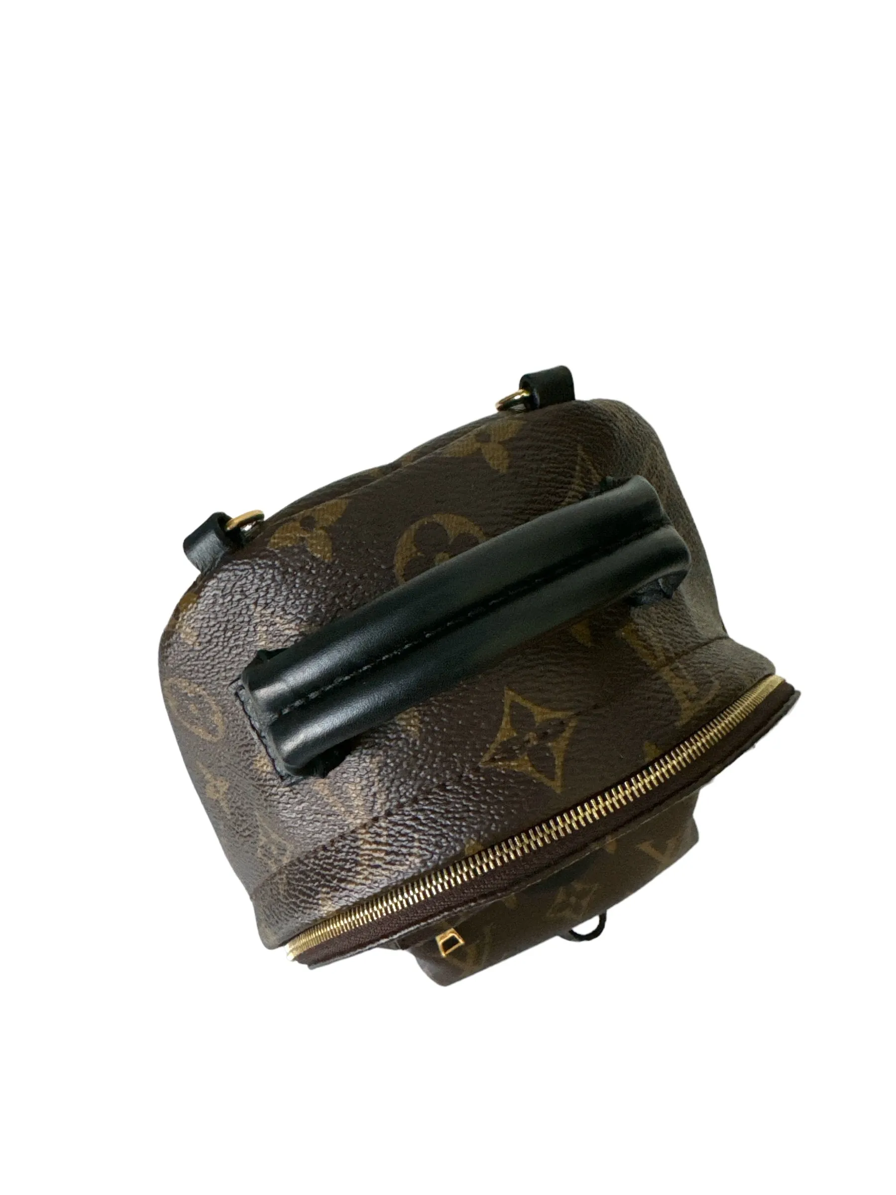 Louis Vuitton Palm Springs Mini Backpack