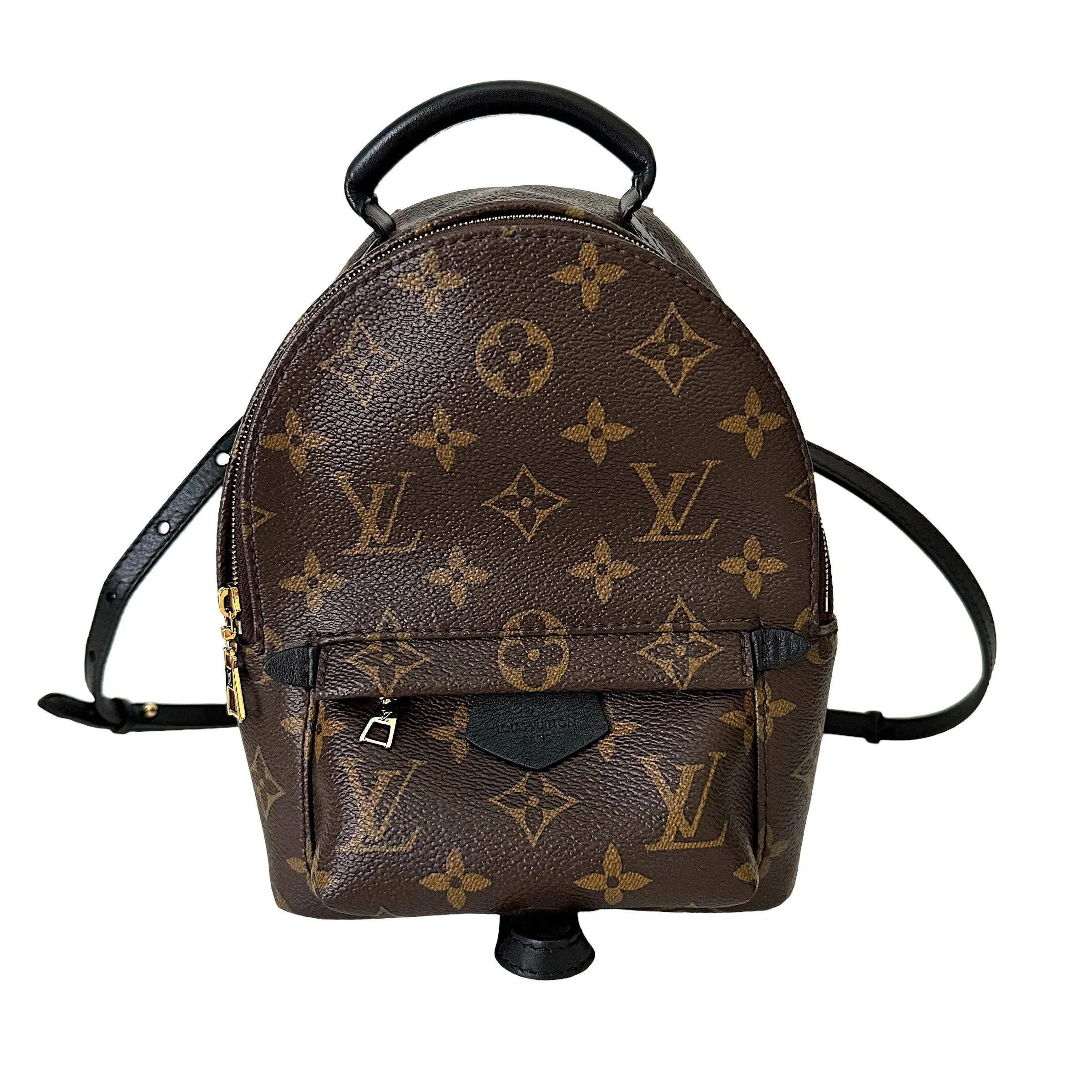 Louis Vuitton Palm Springs Mini Backpack