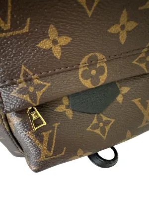 Louis Vuitton Palm Springs Mini Backpack