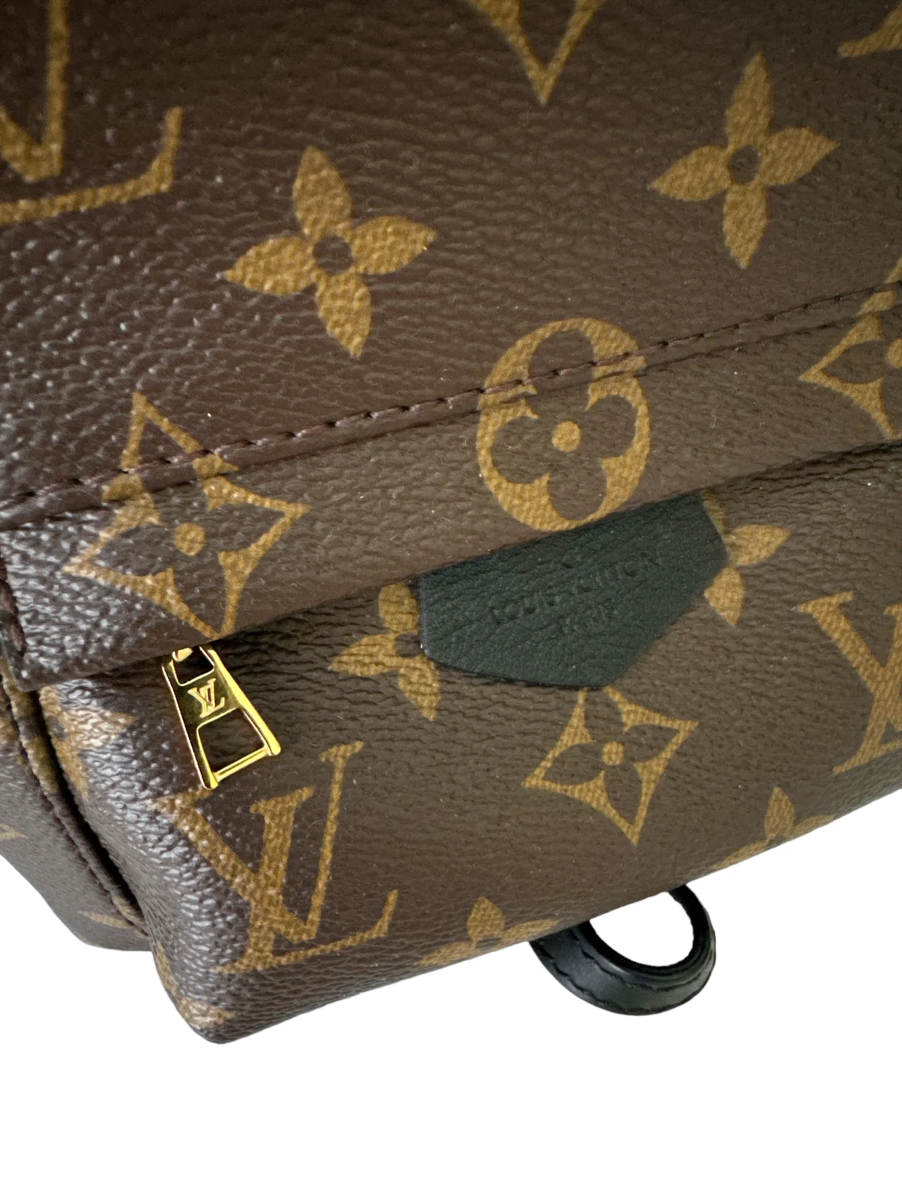 Louis Vuitton Palm Springs Mini Backpack