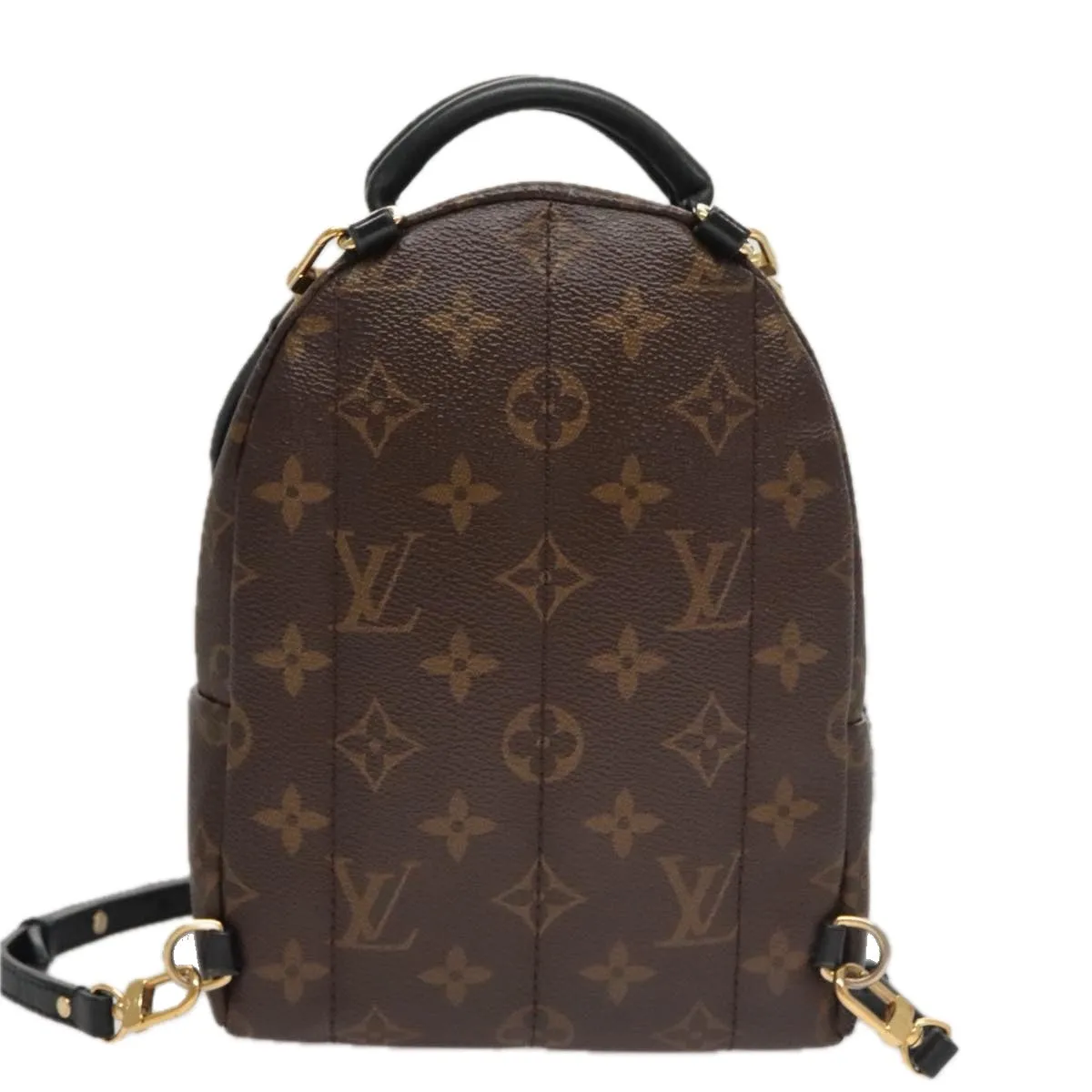 Louis Vuitton Palm Springs Mini Brown Canvas Backpack Bag