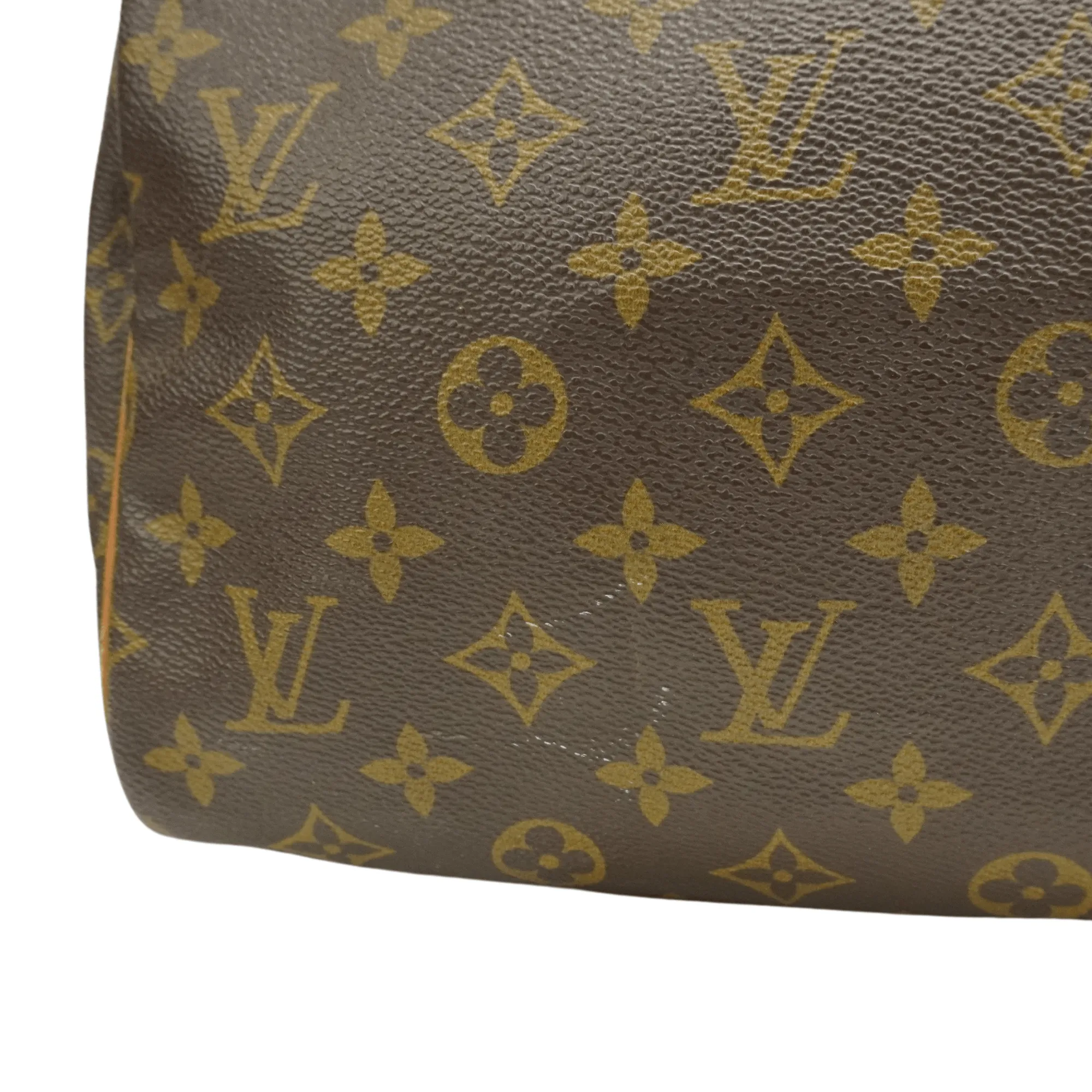 Louis Vuitton 'Speedy 30' Bag