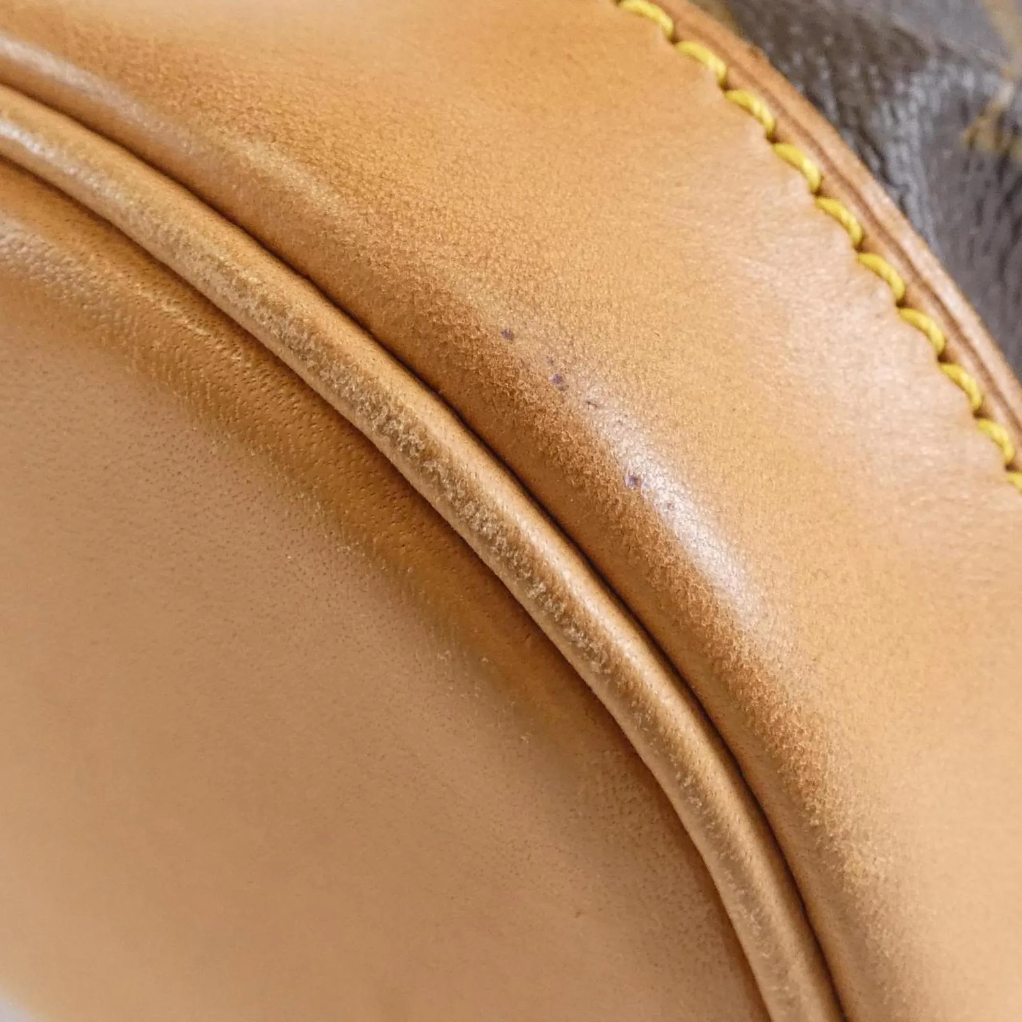 Luxury Canvas Backpack with Dust Bag