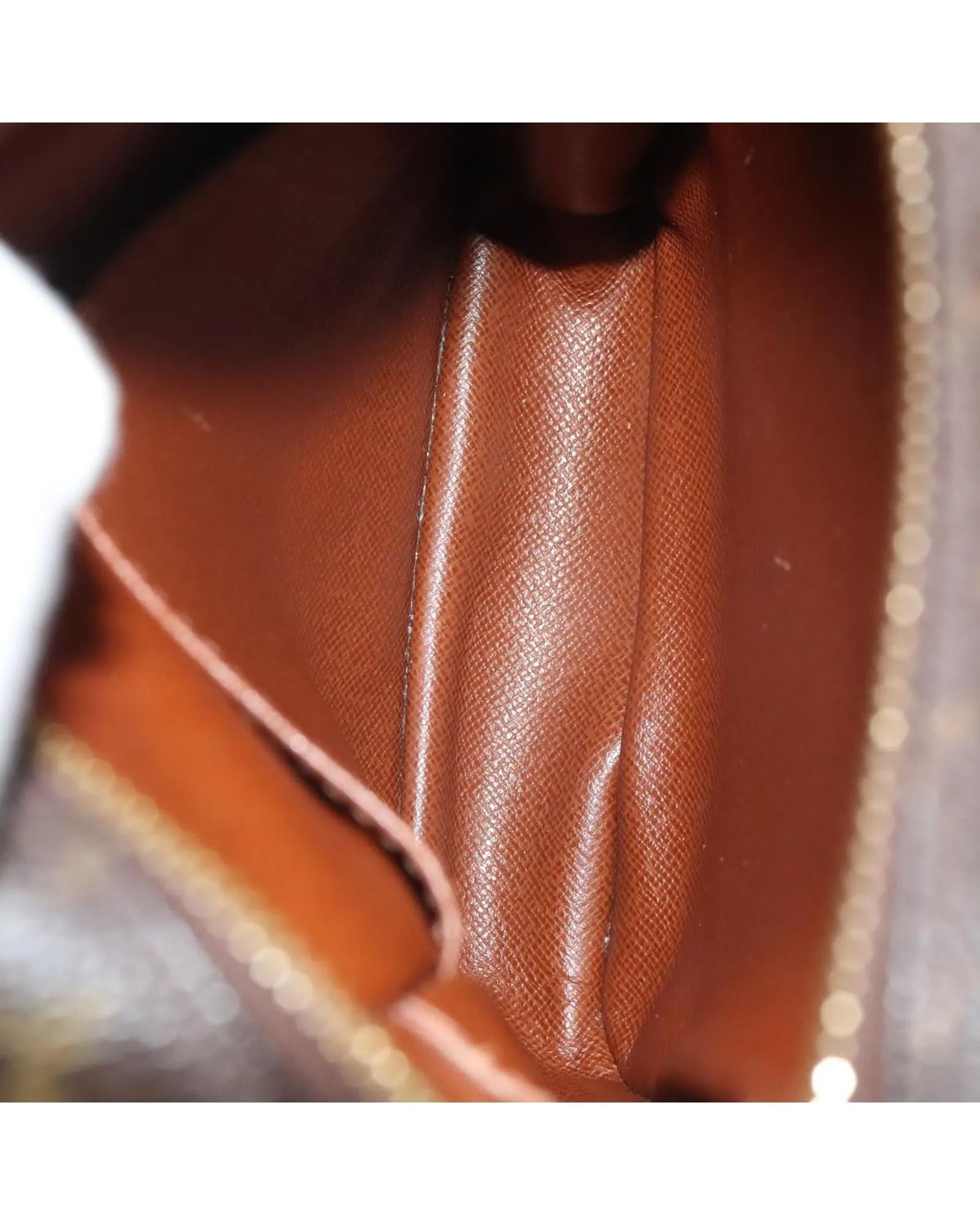 Monogram Amazon Shoulder Bag with ated Design