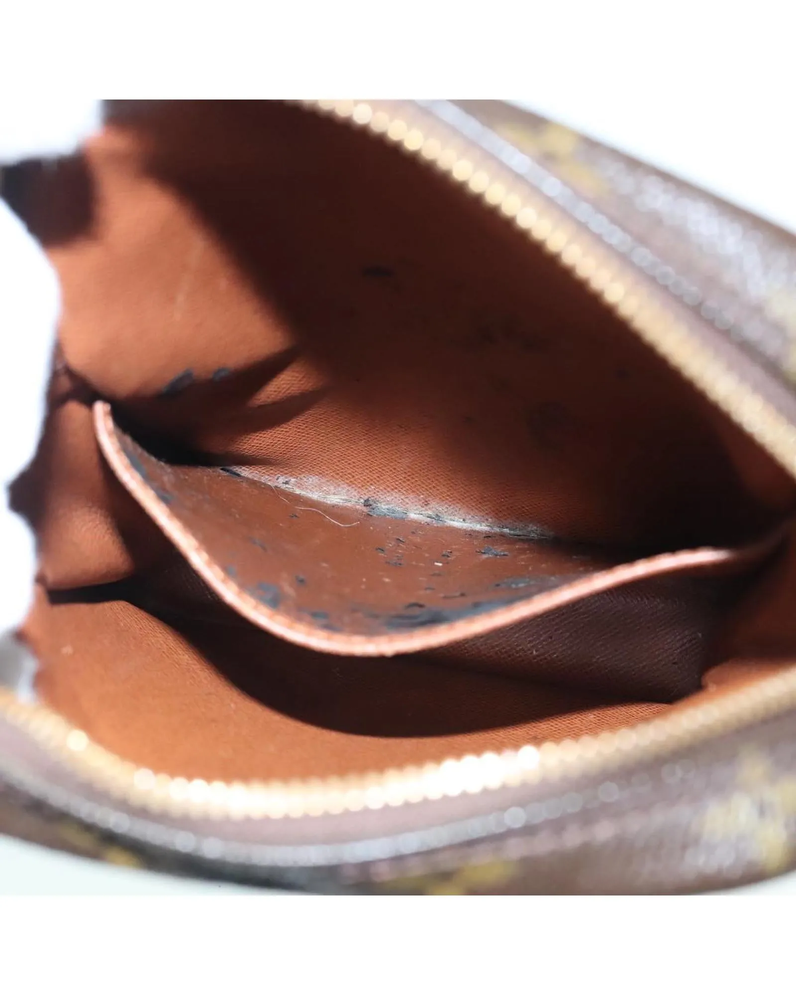Monogram Canvas Danube Shoulder Bag with Adjustable Strap