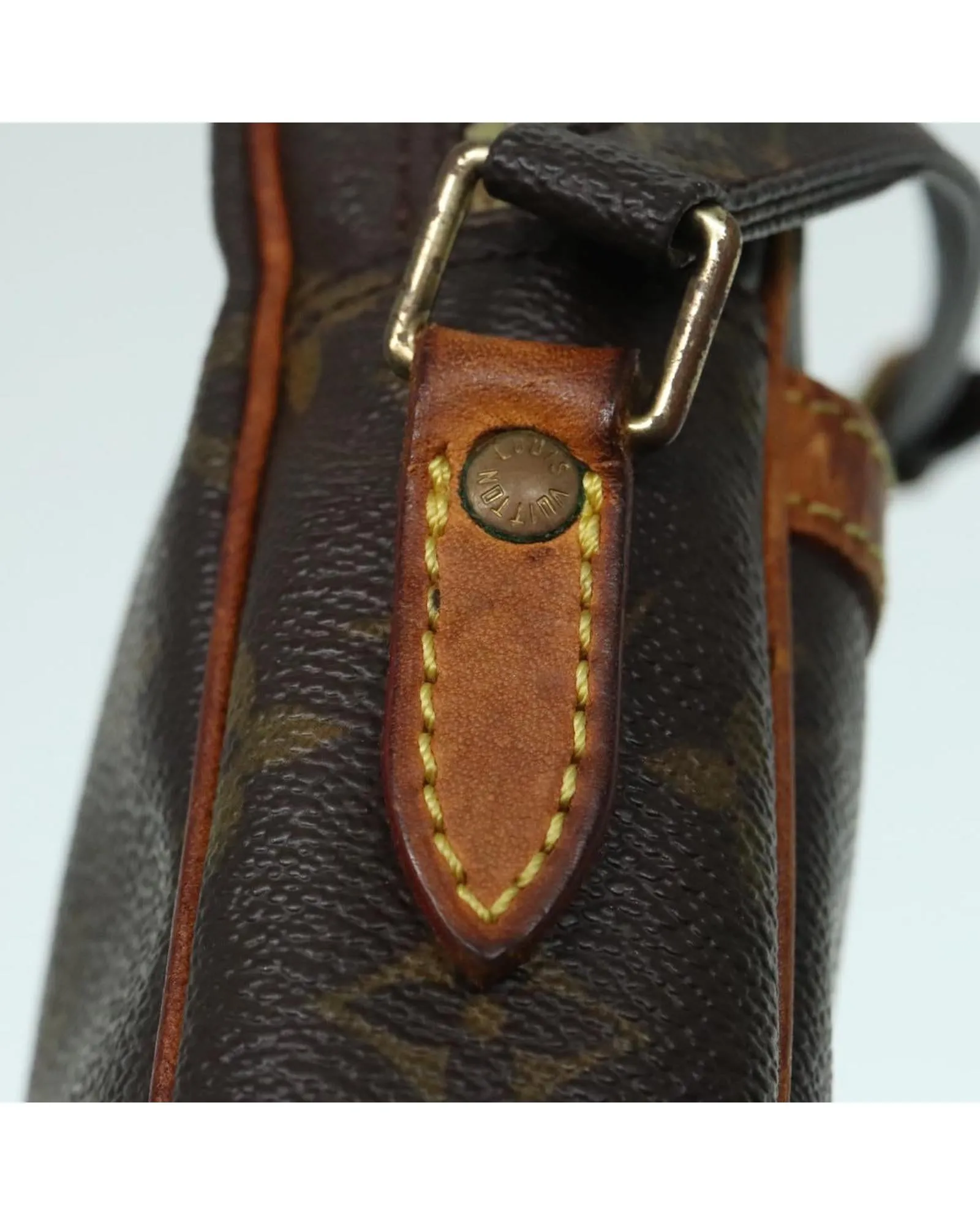 Monogram Canvas Danube Shoulder Bag with Adjustable Strap