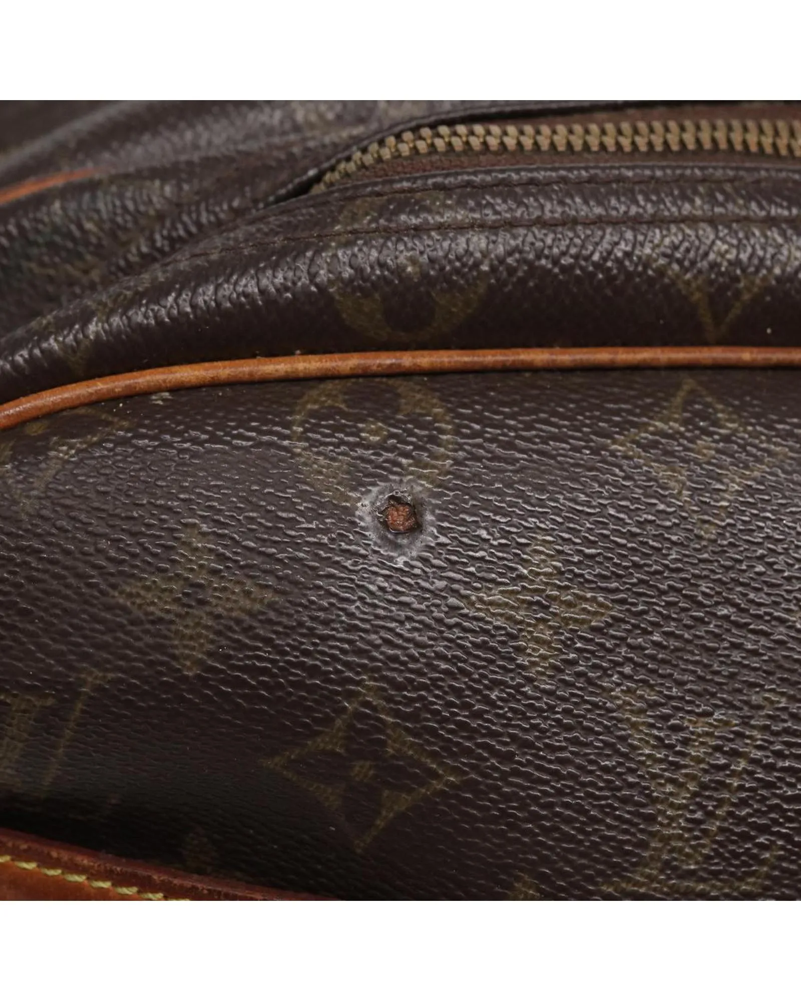 Monogram Canvas Reporter PM Shoulder Bag